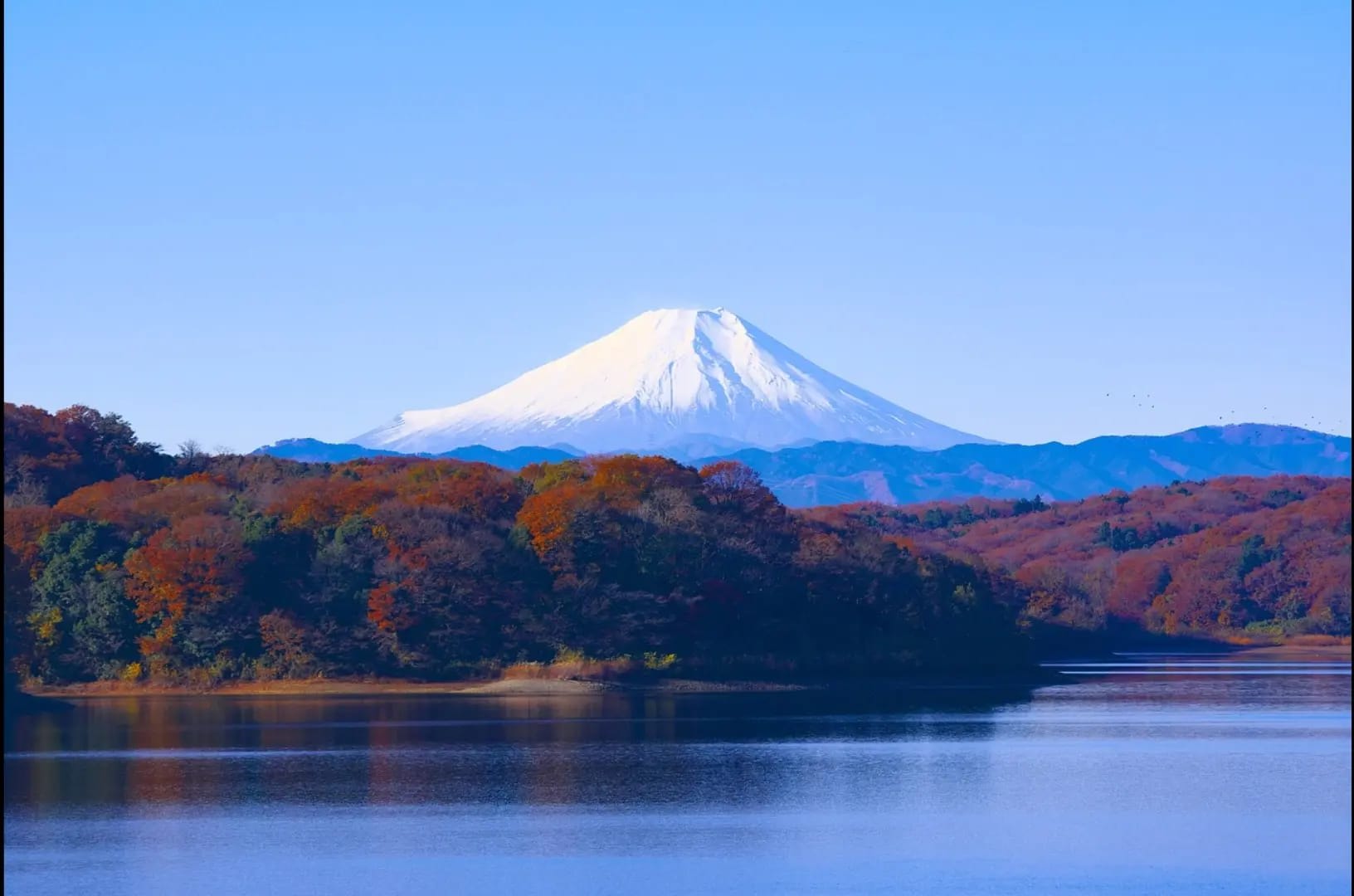 Mount Fuji and lake with brown trees 