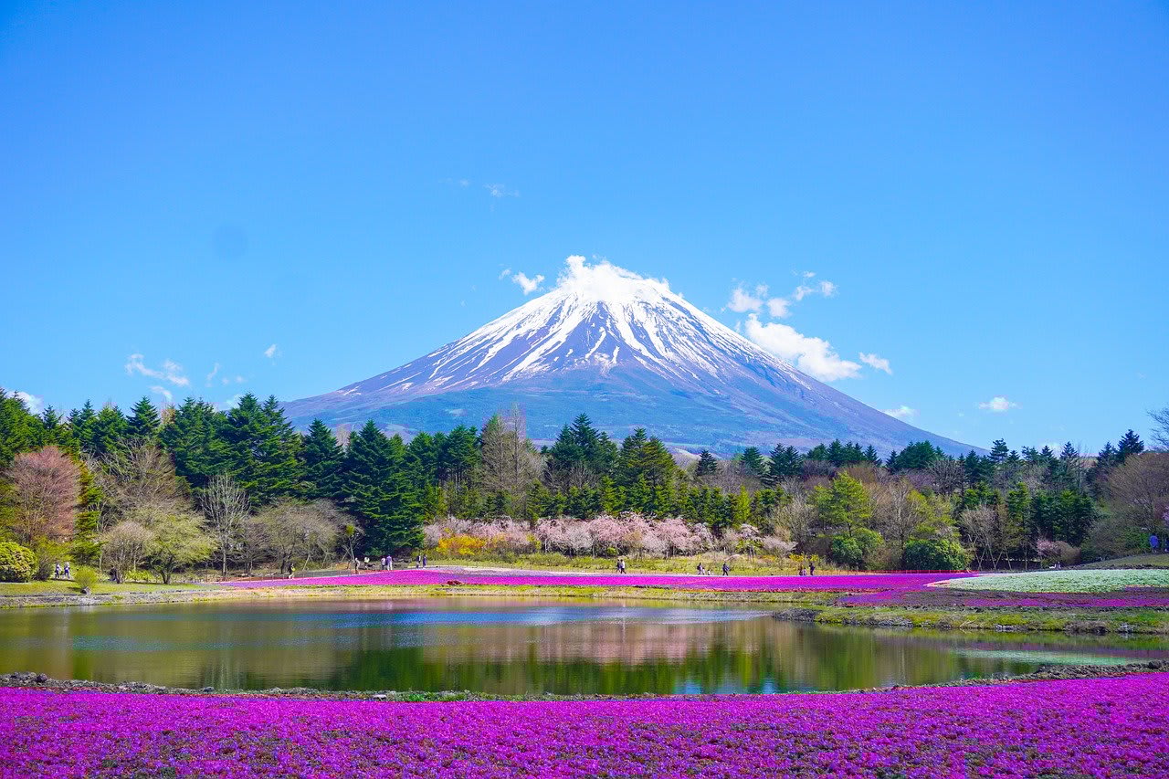 Mount Fuji and lake with purple plants 