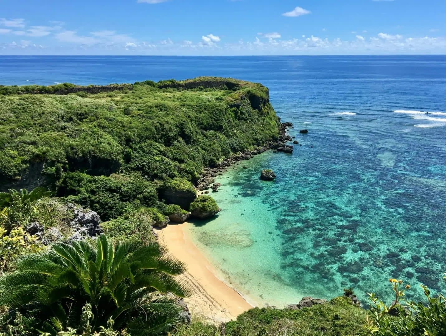 coastline with vegetation, Okinawa