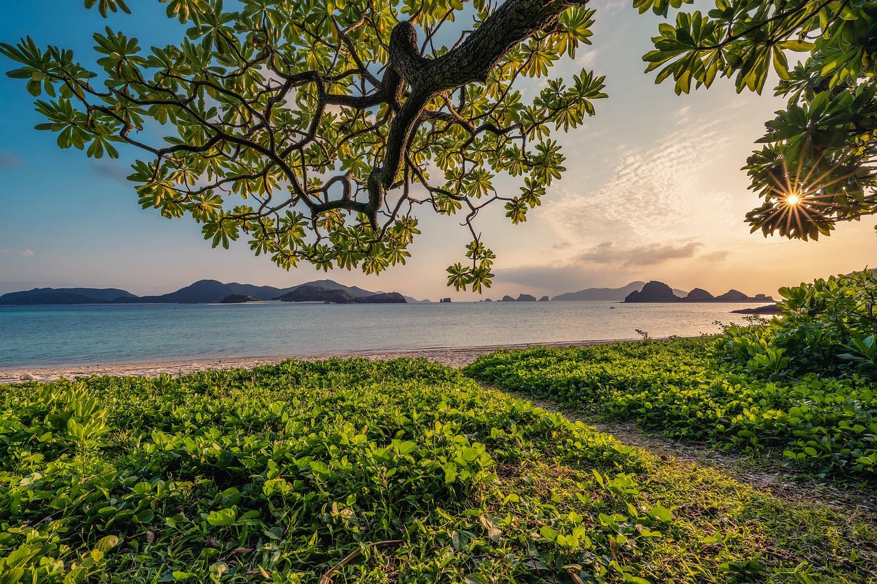 small island with vegetation in the middle of the sea, Okinawa