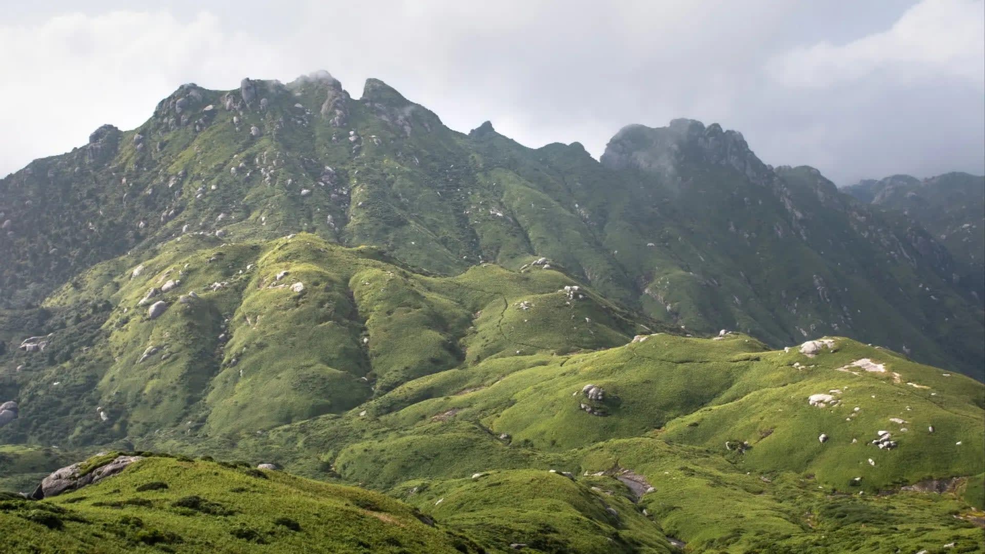 mountain covered in grass, Yakushima