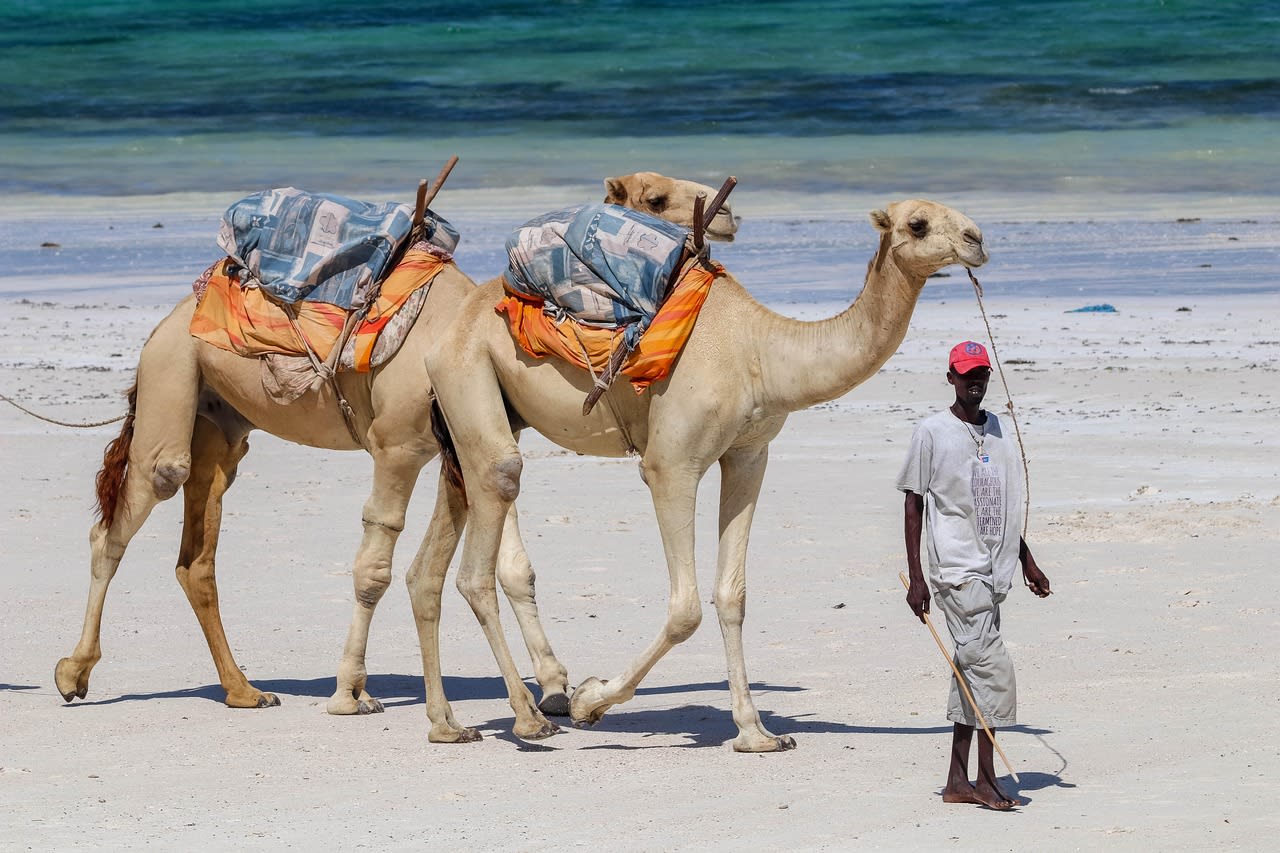 White sand and turquoise water of Diani Beach on the Kenya south coast