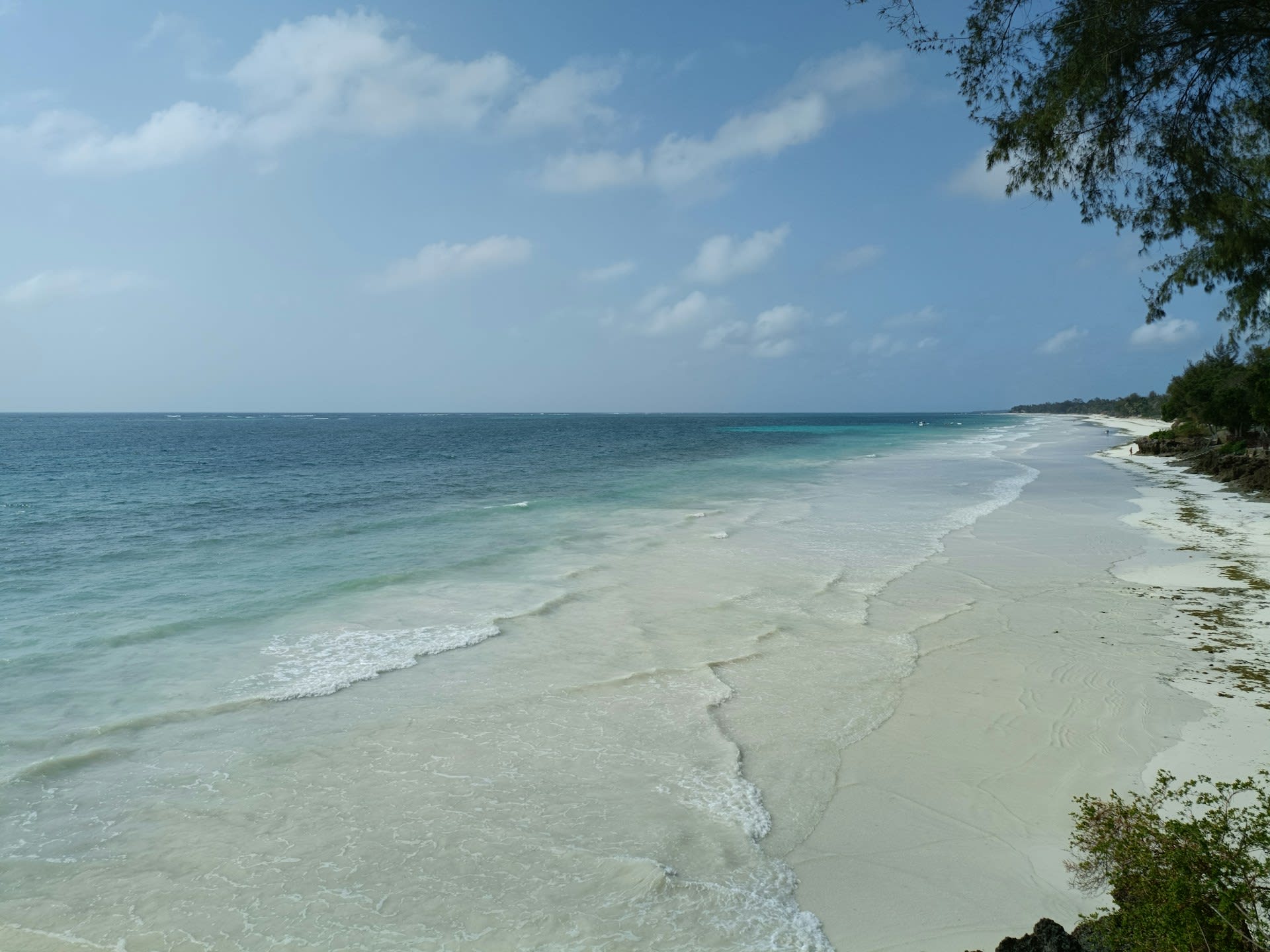 Snorkeller above the coral reef at Diani Beach with colourful fish and clear Indian Ocean water