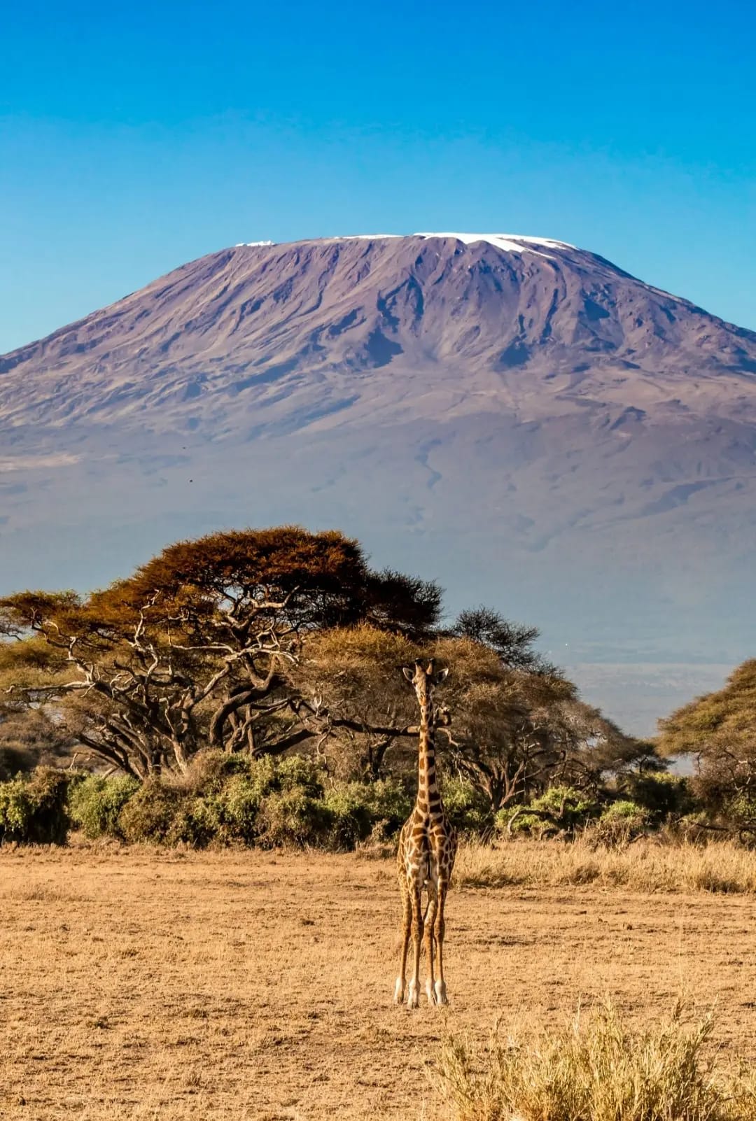 Discover Amboseli National Park 