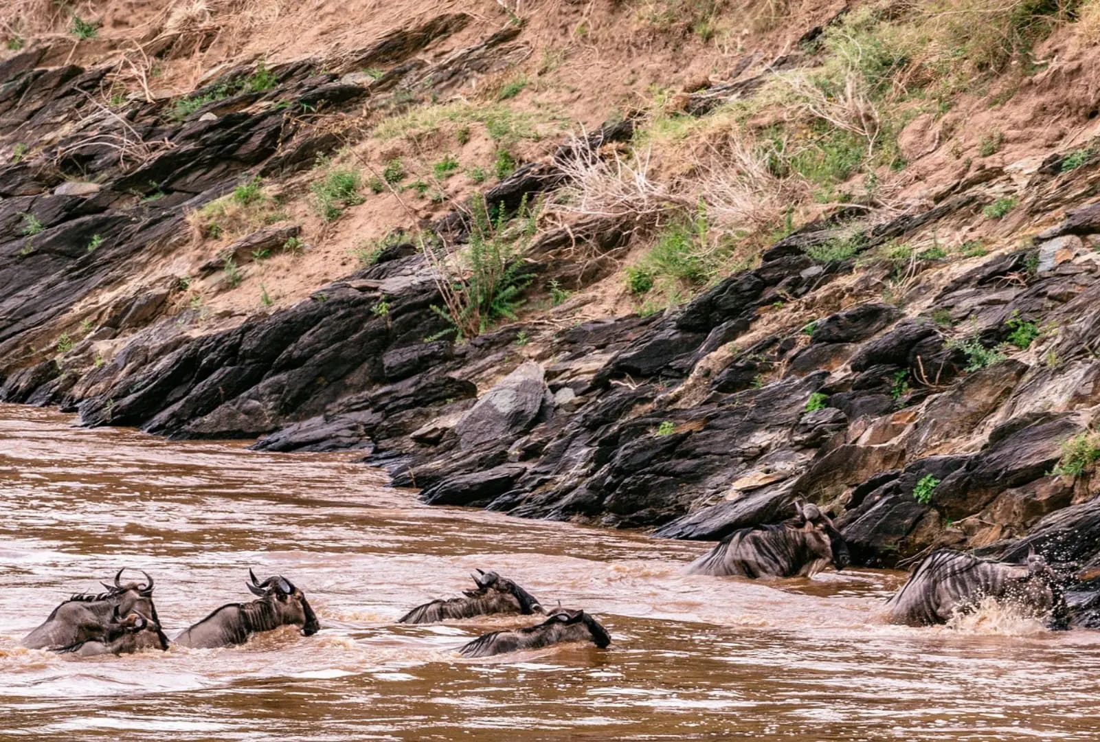 Discover Maasai Mara National Reserve 