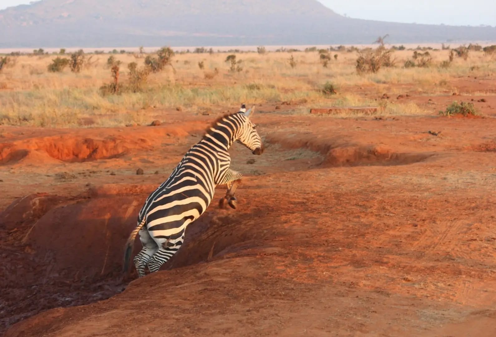 Discover Tsavo National Park 