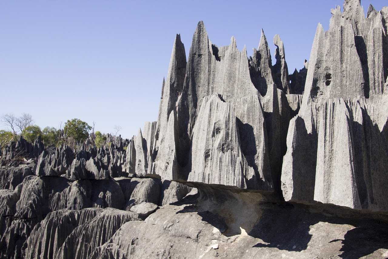 Razor-sharp limestone tsingy pinnacles in the Bemaraha National Park of western Madagascar