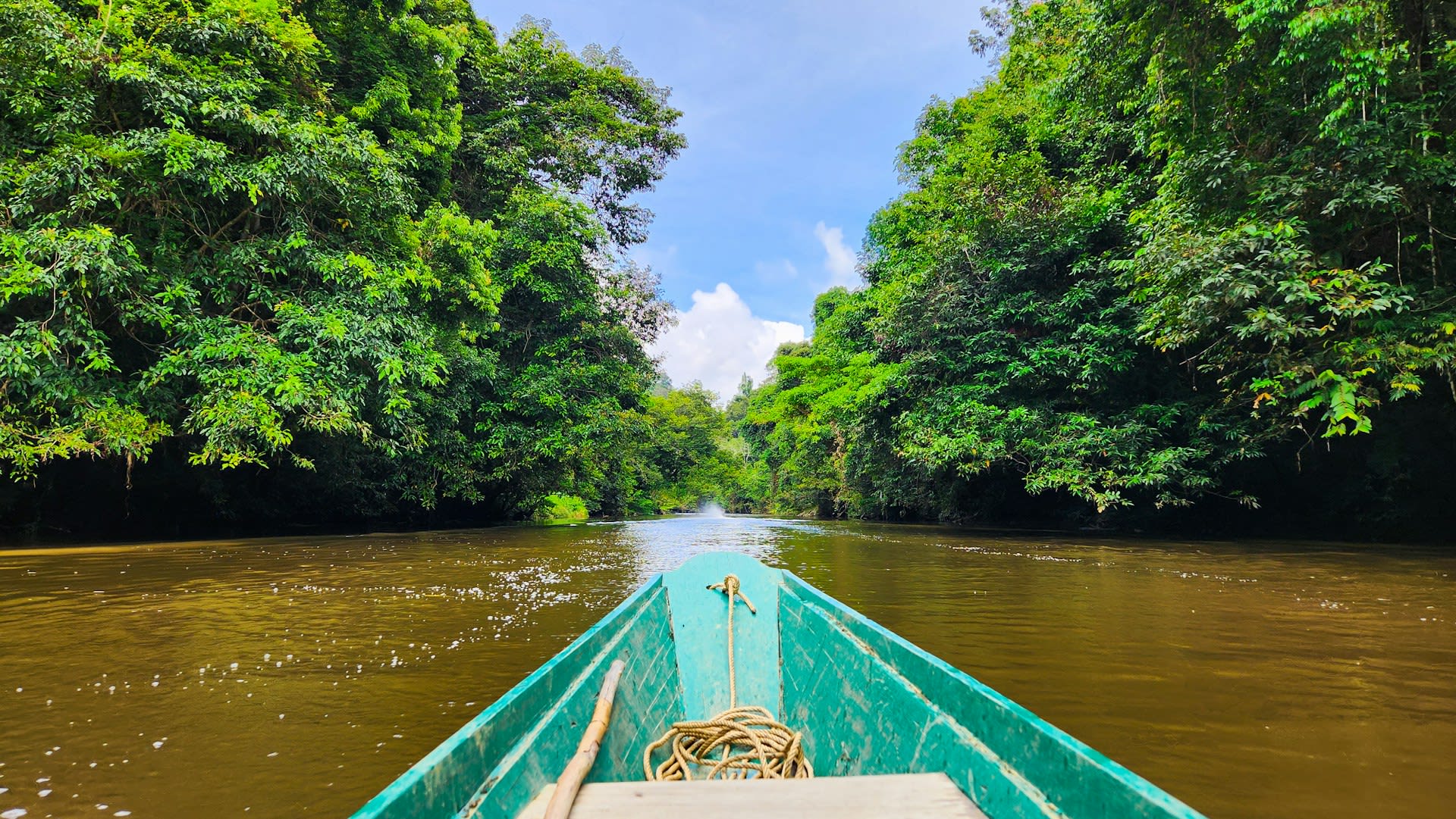 Taman Negara landscape view 0