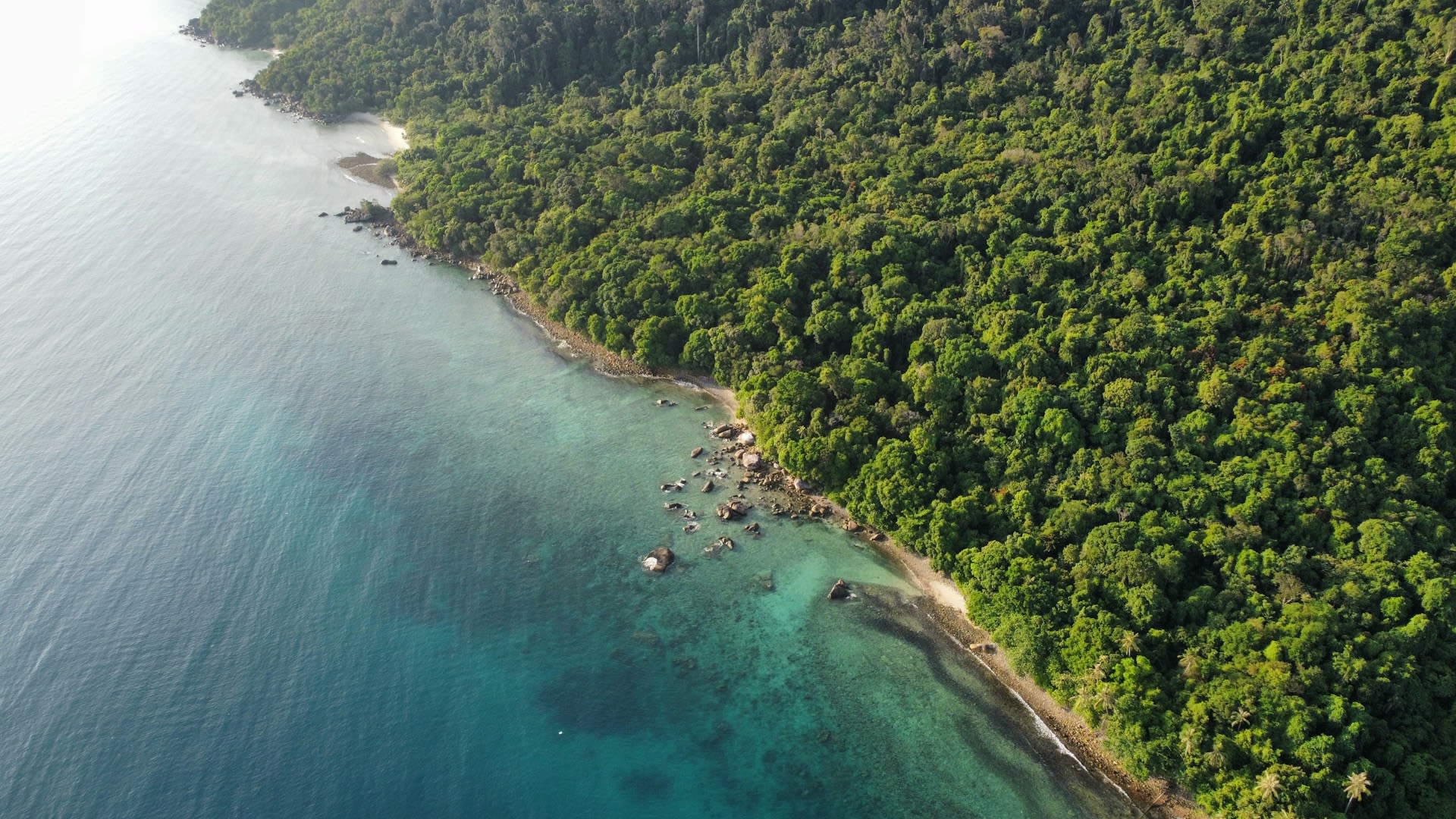Tioman Island beach and jungle view