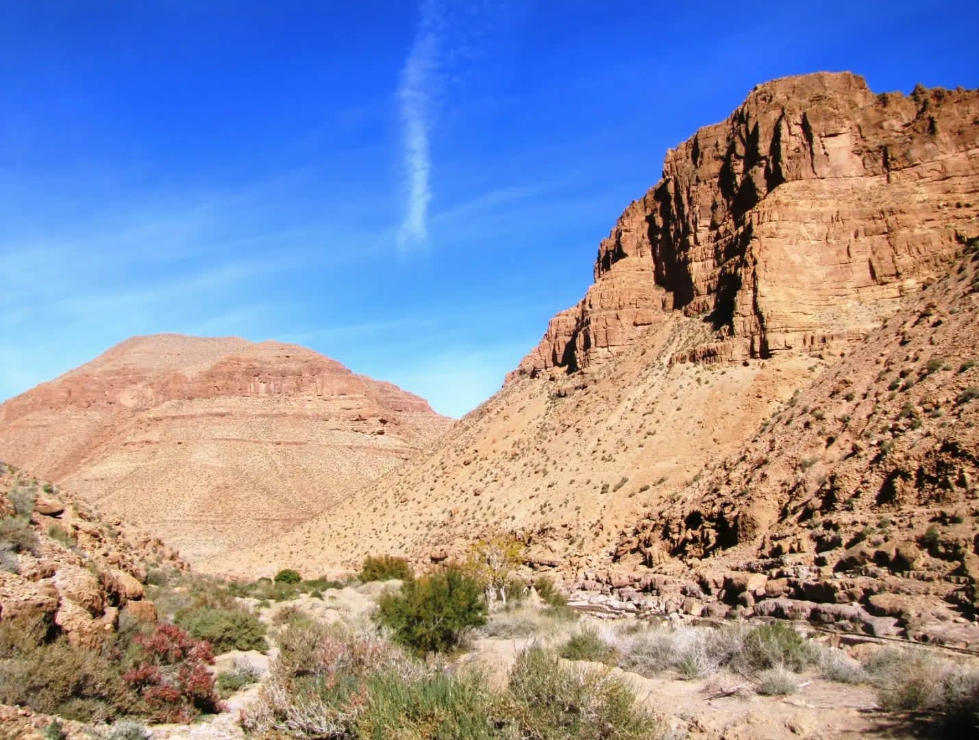 dry canyon, Todra Gorge