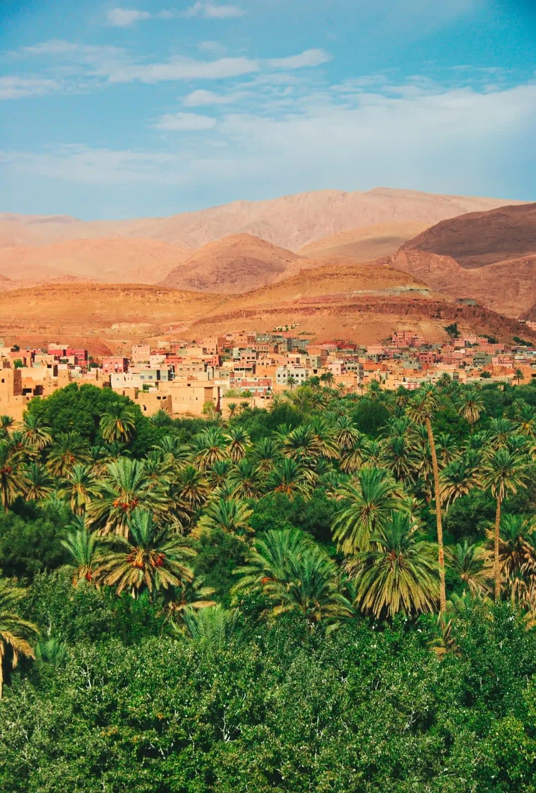 River Draa, palm trees in front of a village with dry mountains in the background