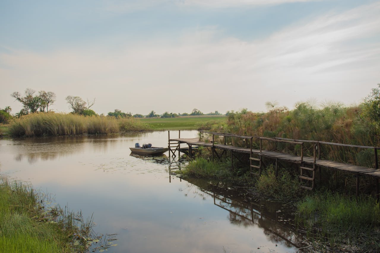 Elephant herd crossing the Kwando River in the Bwabwata National Park Caprivi Namibia