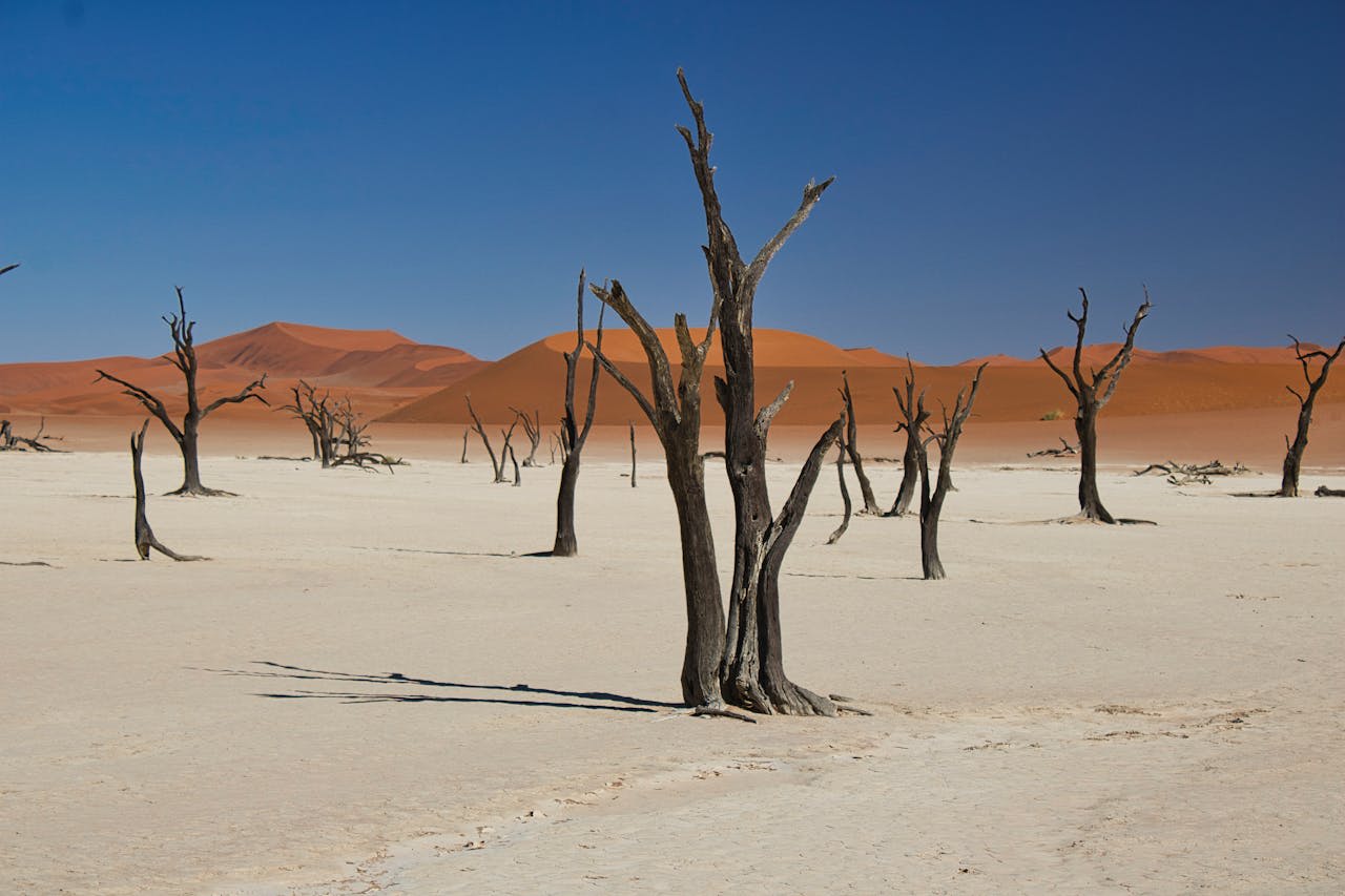 Aerial view of the white Deadvlei pan surrounded by the red-orange dunes of Sossusvlei in the Namib Desert
