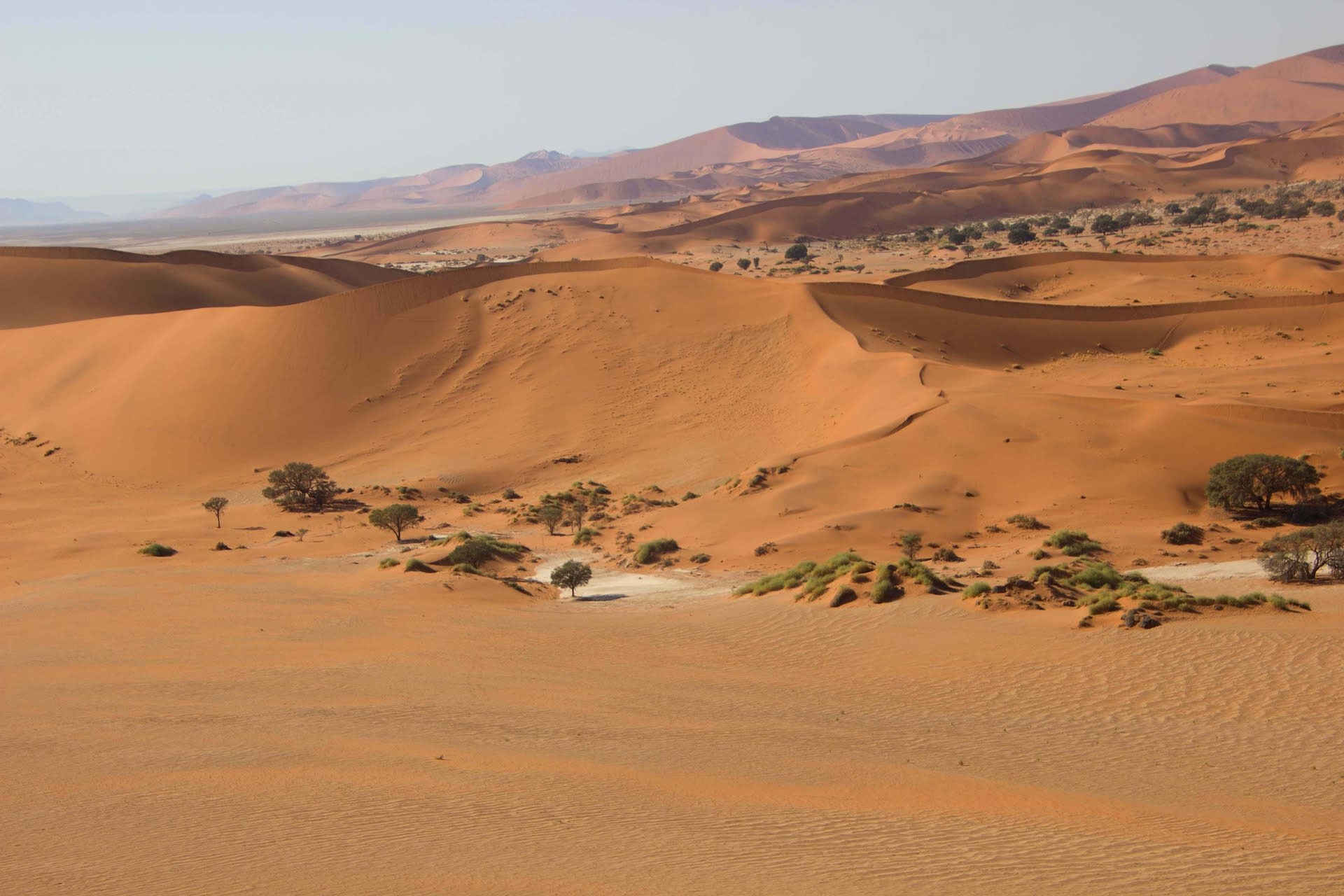 Namib-Naukluft National Park : A Journey Through Namibia’s Natural Masterpiece