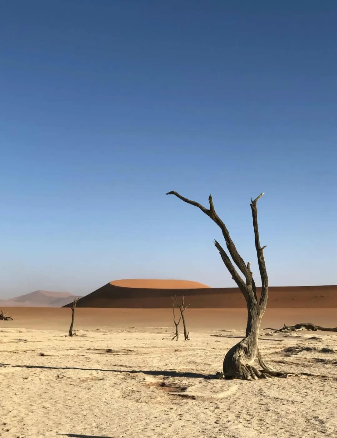 Namib-Naukluft National Park : A Journey Through Namibia’s Natural Masterpiece