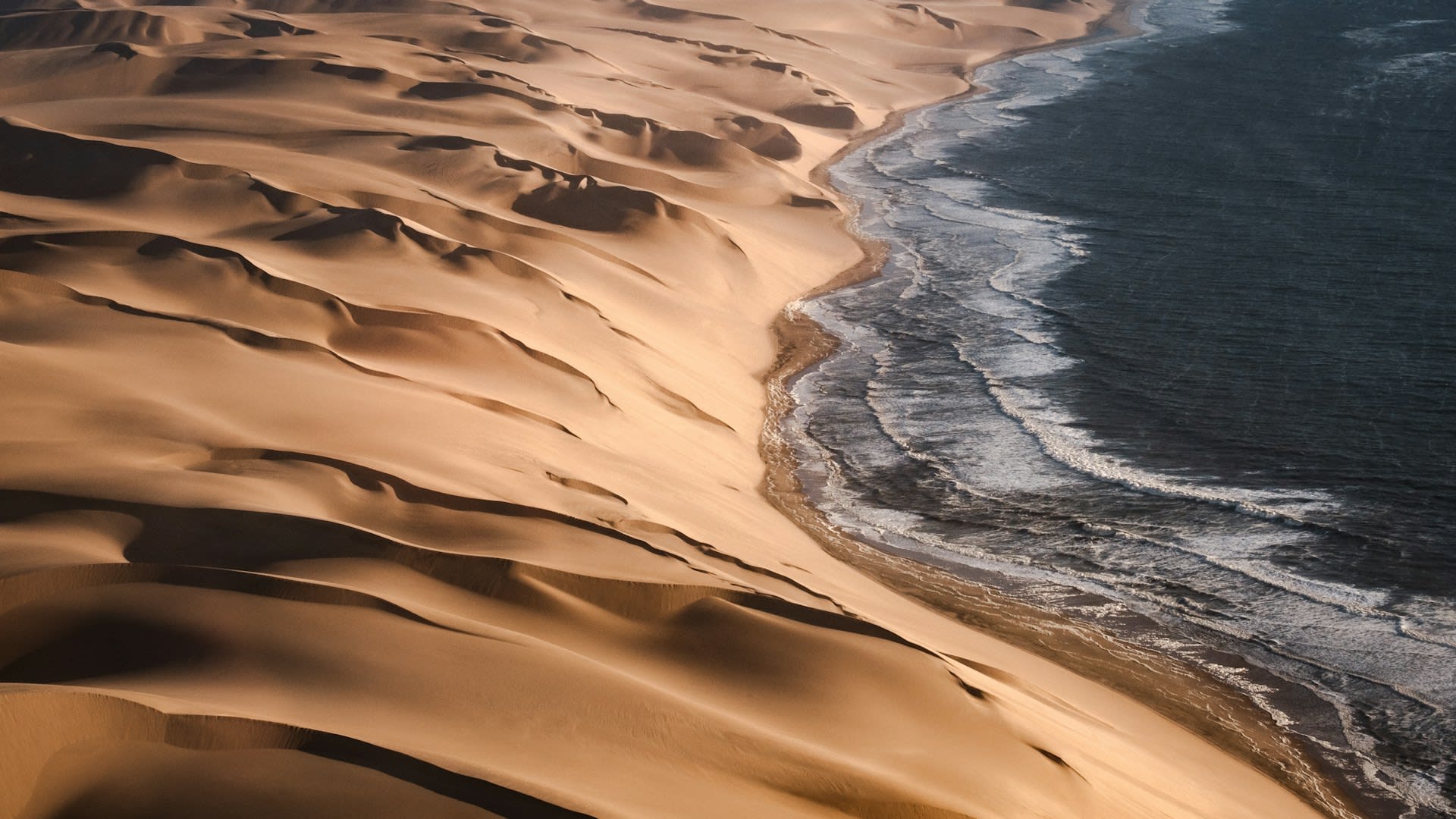 Skeleton Coast : Namibia’s Enigmatic Coastal Wilderness 