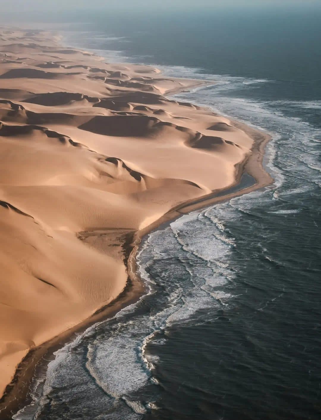 Skeleton Coast : Namibia’s Enigmatic Coastal Wilderness 