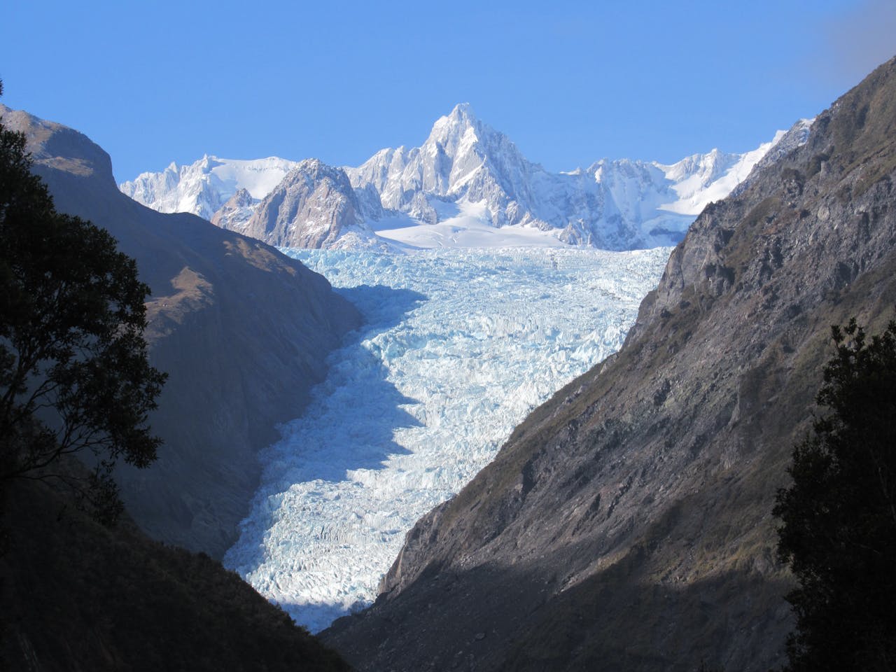Fox Glacier ice face flowing between rainforest walls in Westland National Park New Zealand