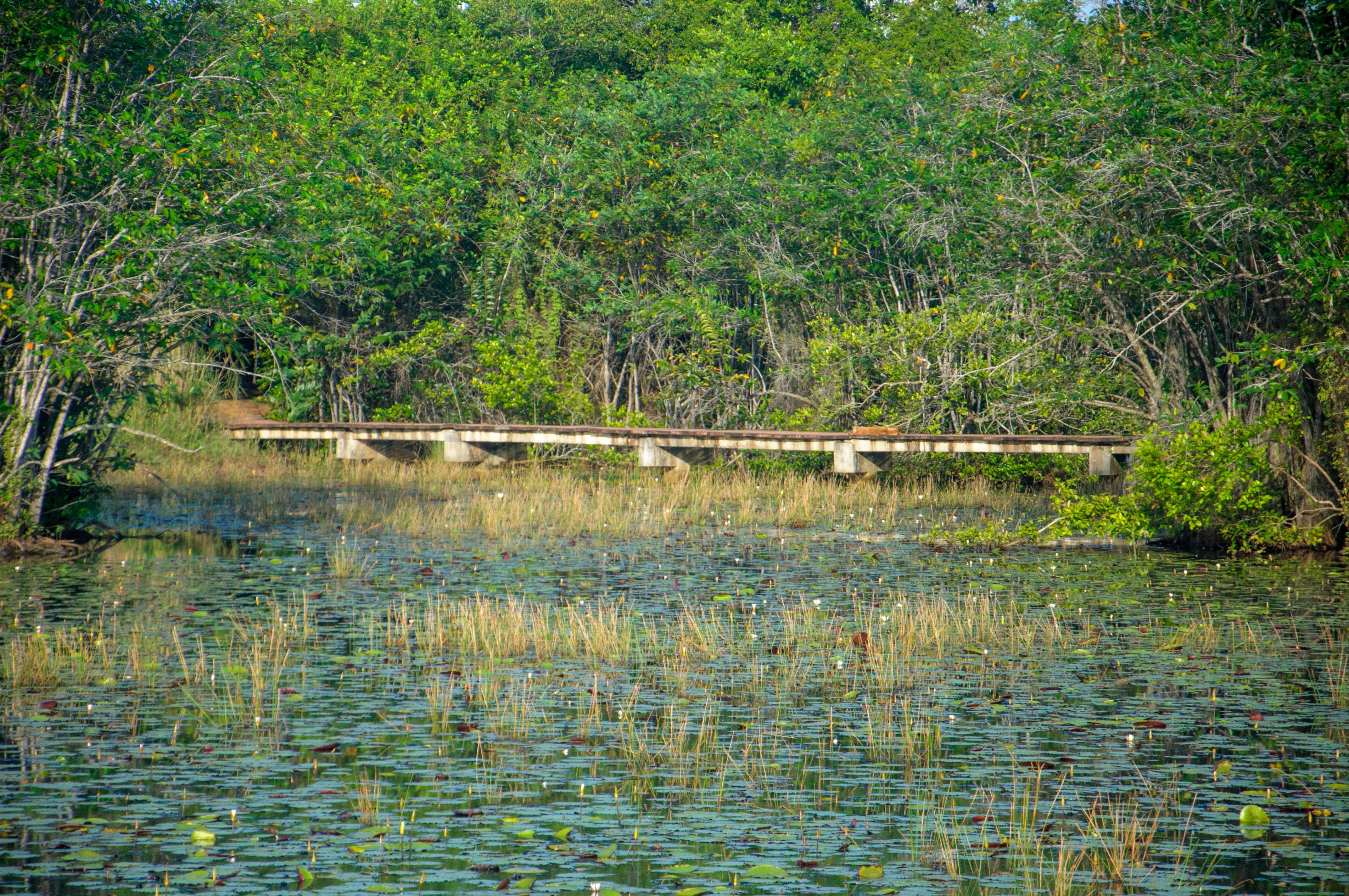 Discover Apoyo Lagoon