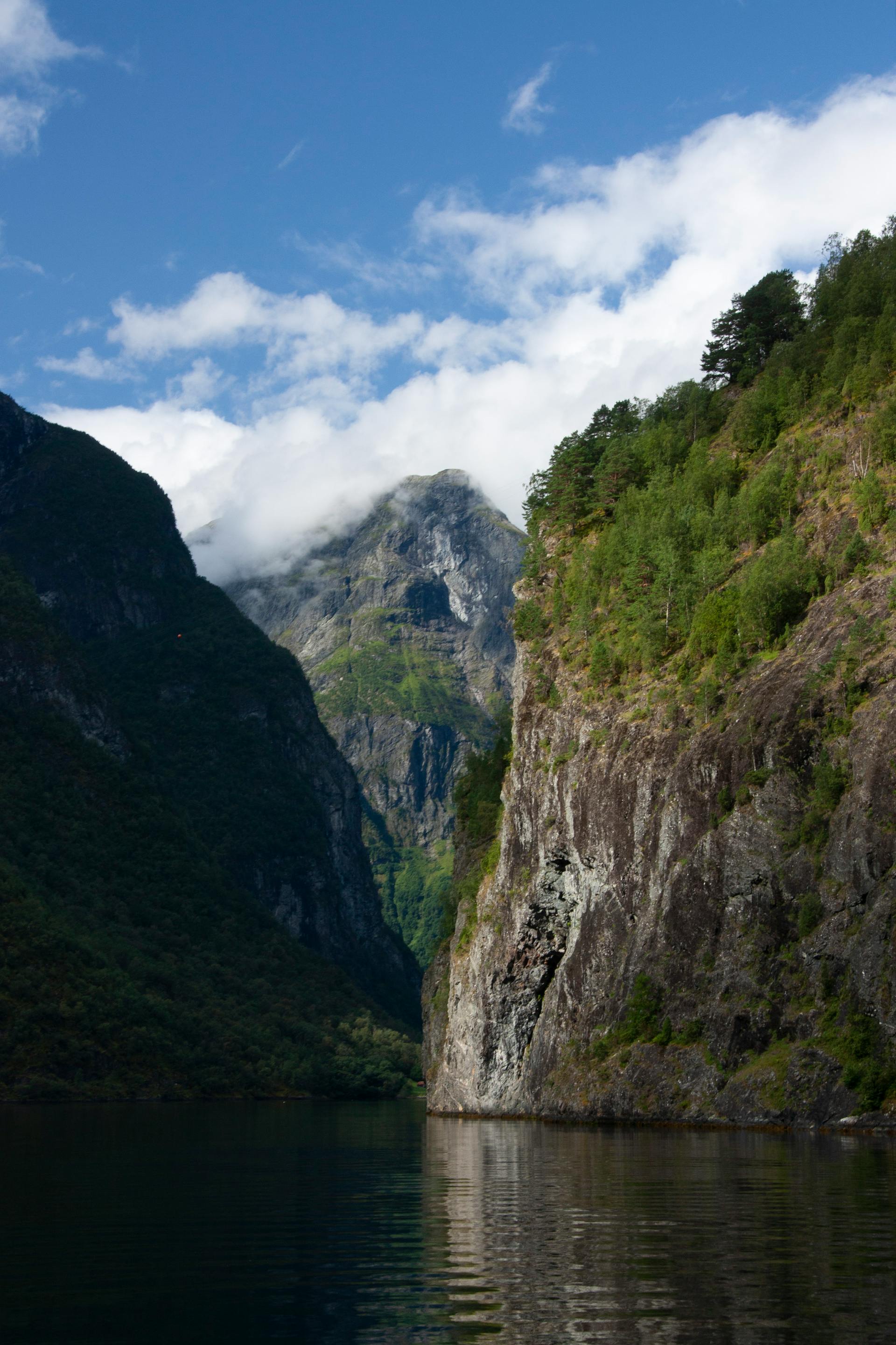 Traditional Norwegian wooden farmhouses above the Hardangerfjord with glaciers and mountains behind