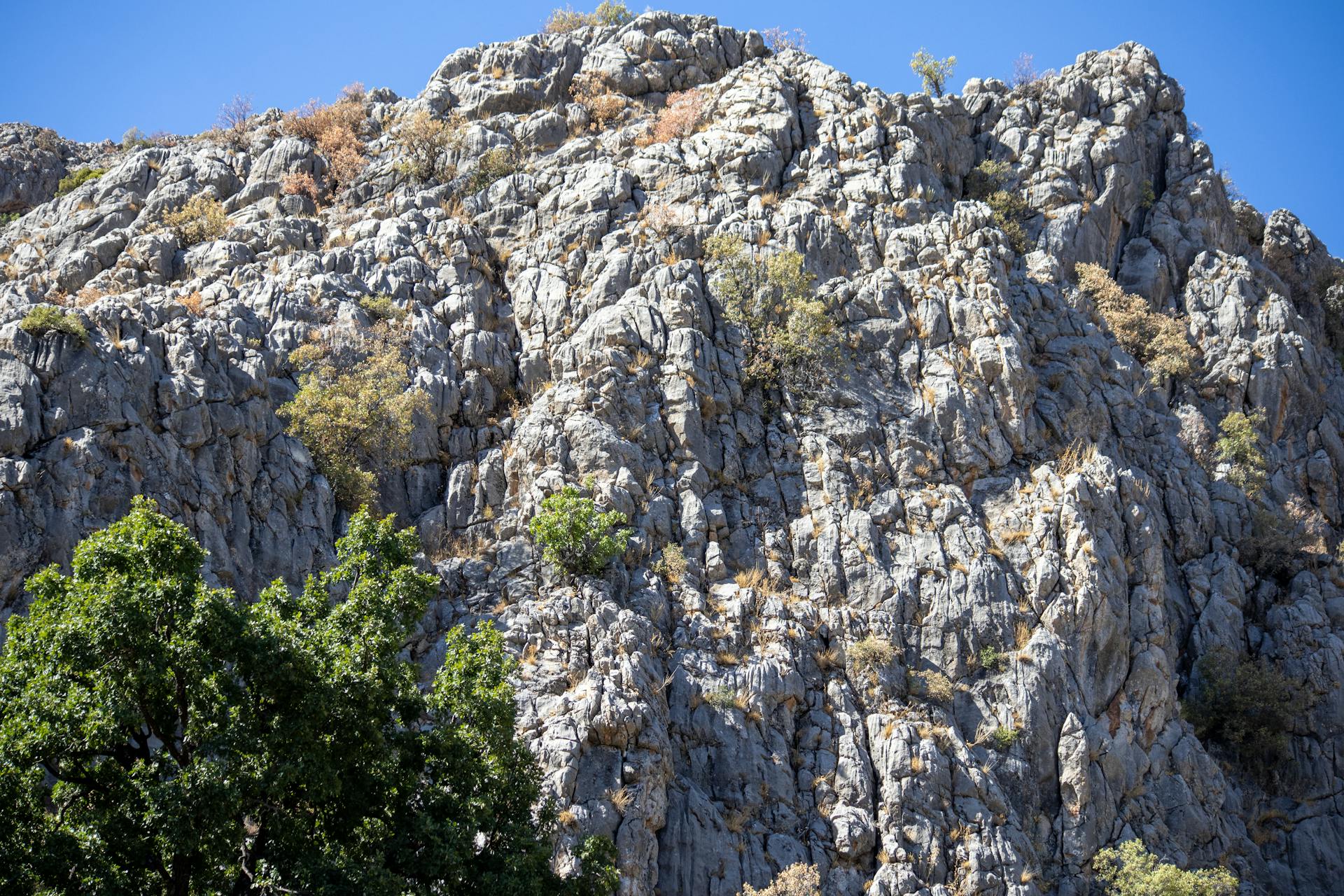 Snow-capped summit of Mount Wilhelm above the clouds