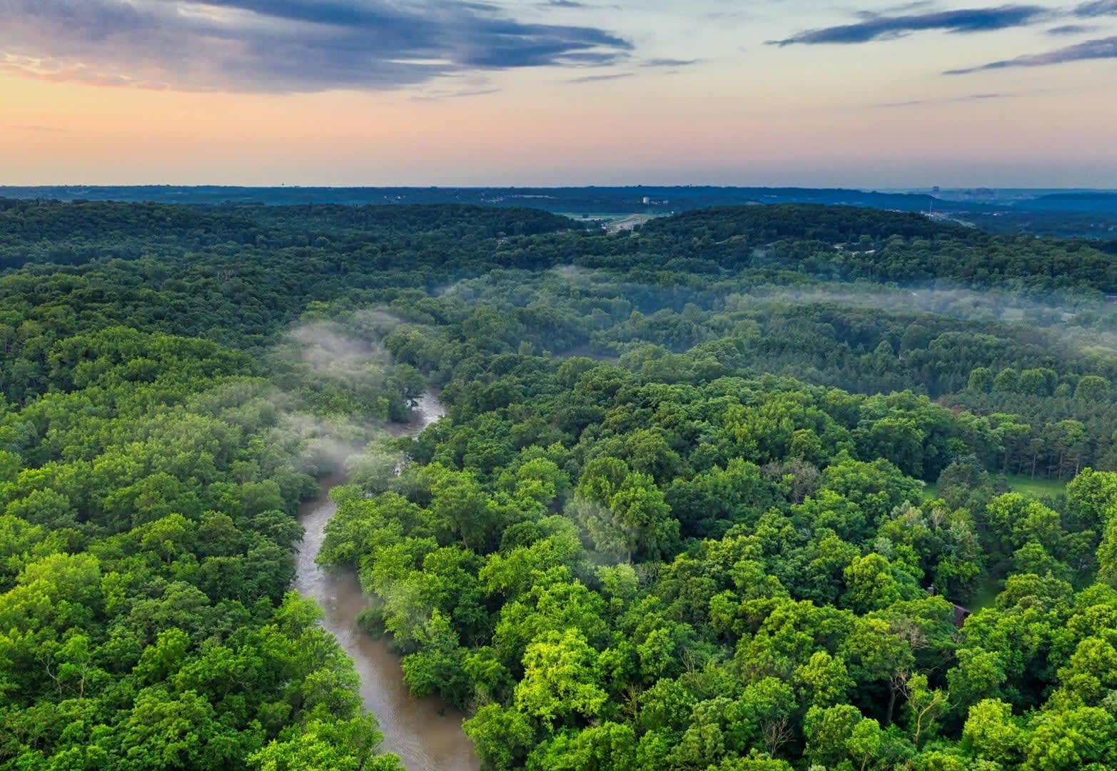 Explore the Amazon Rainforest in Peru - Nature's Vibrant Heart