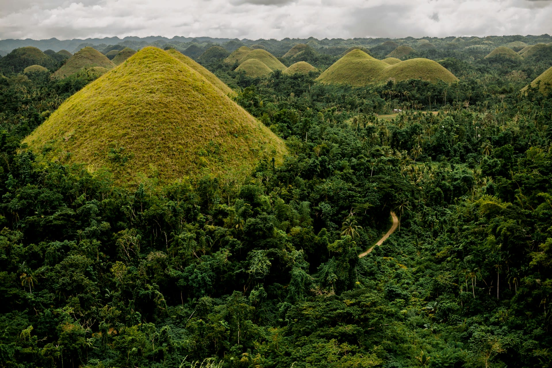 Chocolate Hills landscape in Bohol