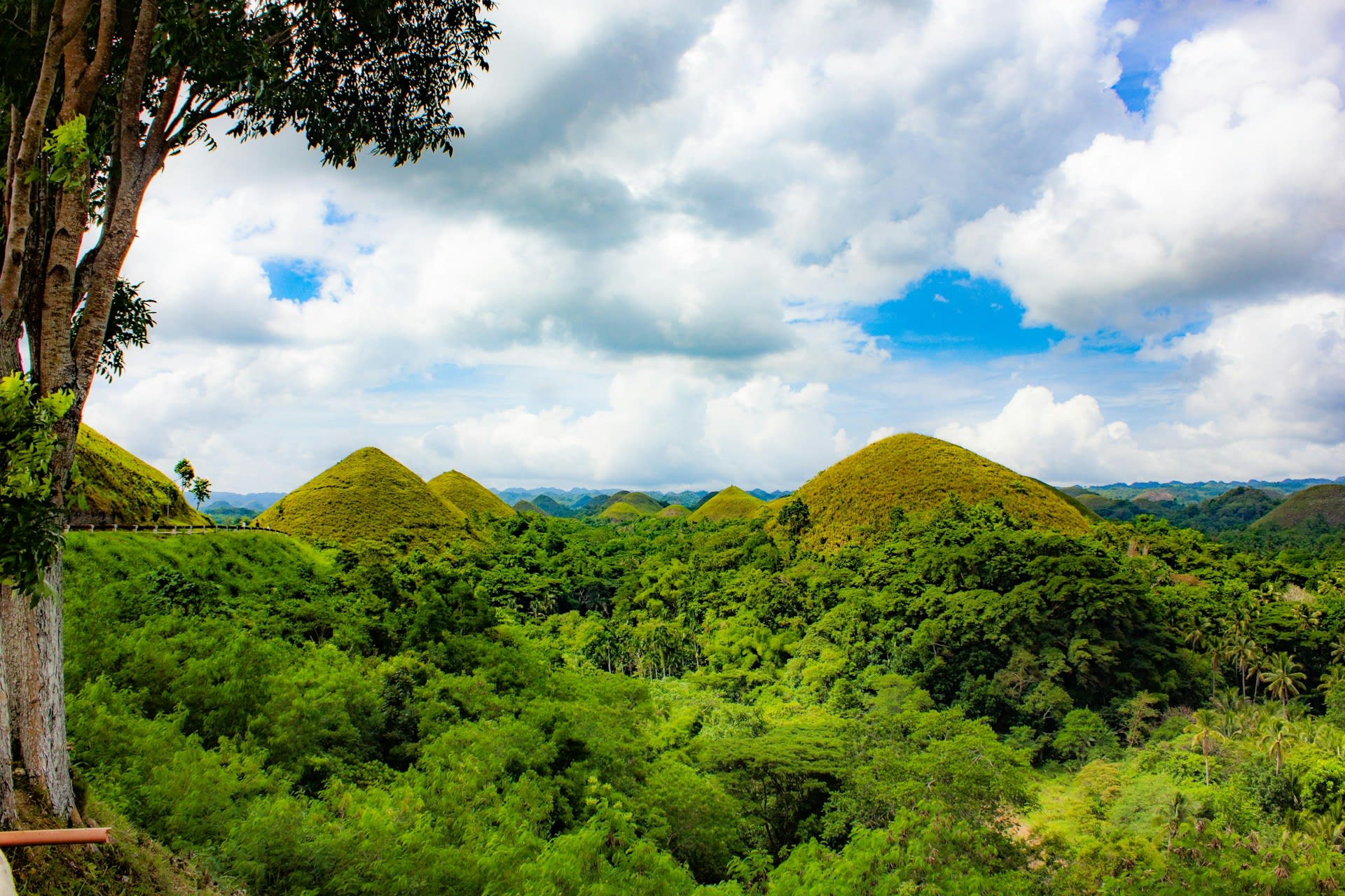 Chocolate Hills landscape view 3