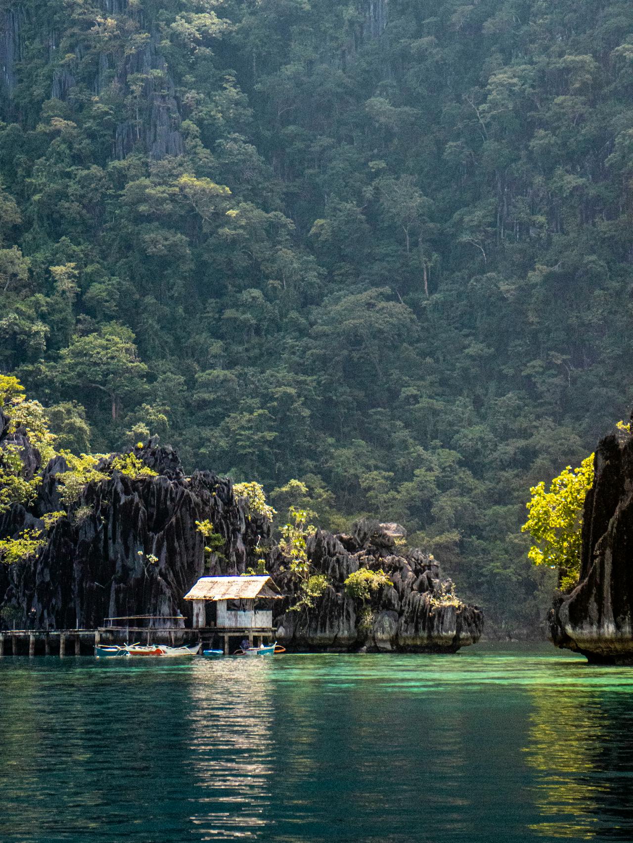 Diver exploring a Japanese WWII shipwreck overgrown with coral at Coron Palawan Philippines