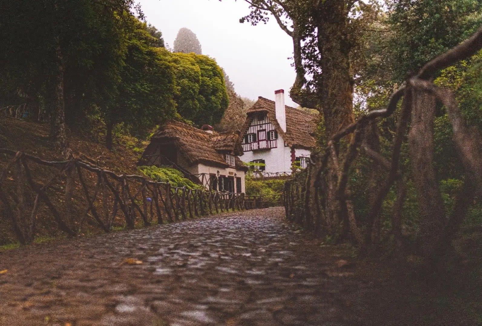 stone pathway with railings, houses, and trees in the background, Madeira