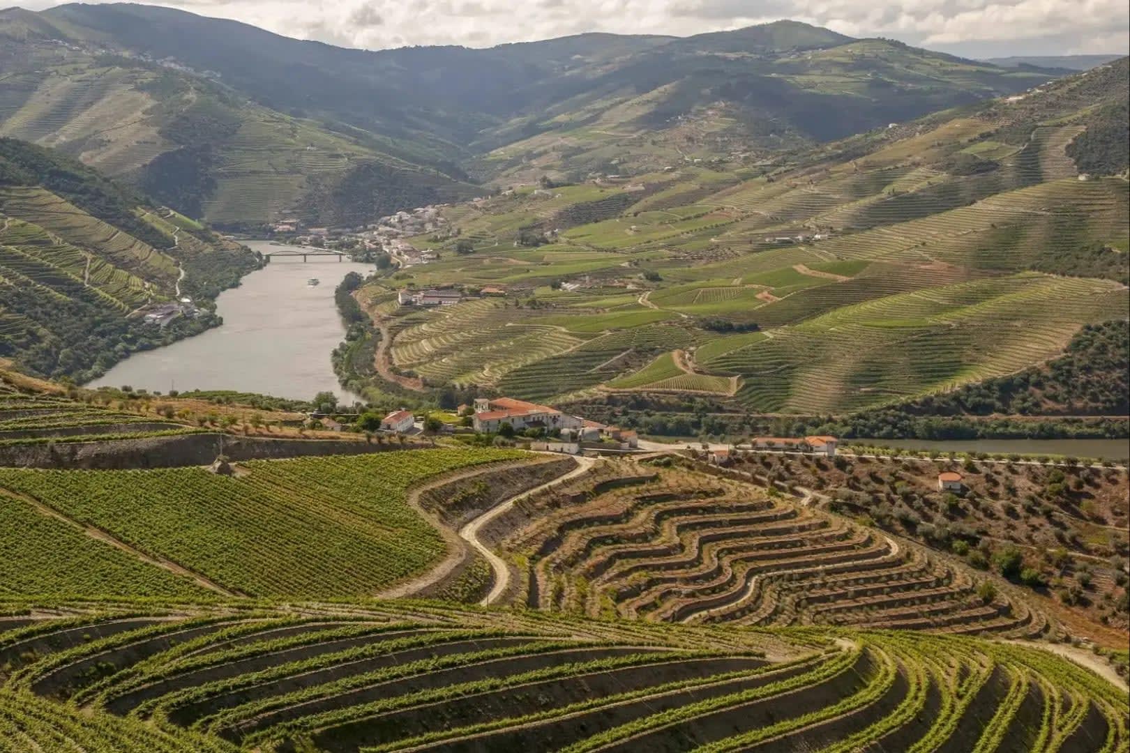 Vale do Douro. Cultivated hills with a river running through the middle. 