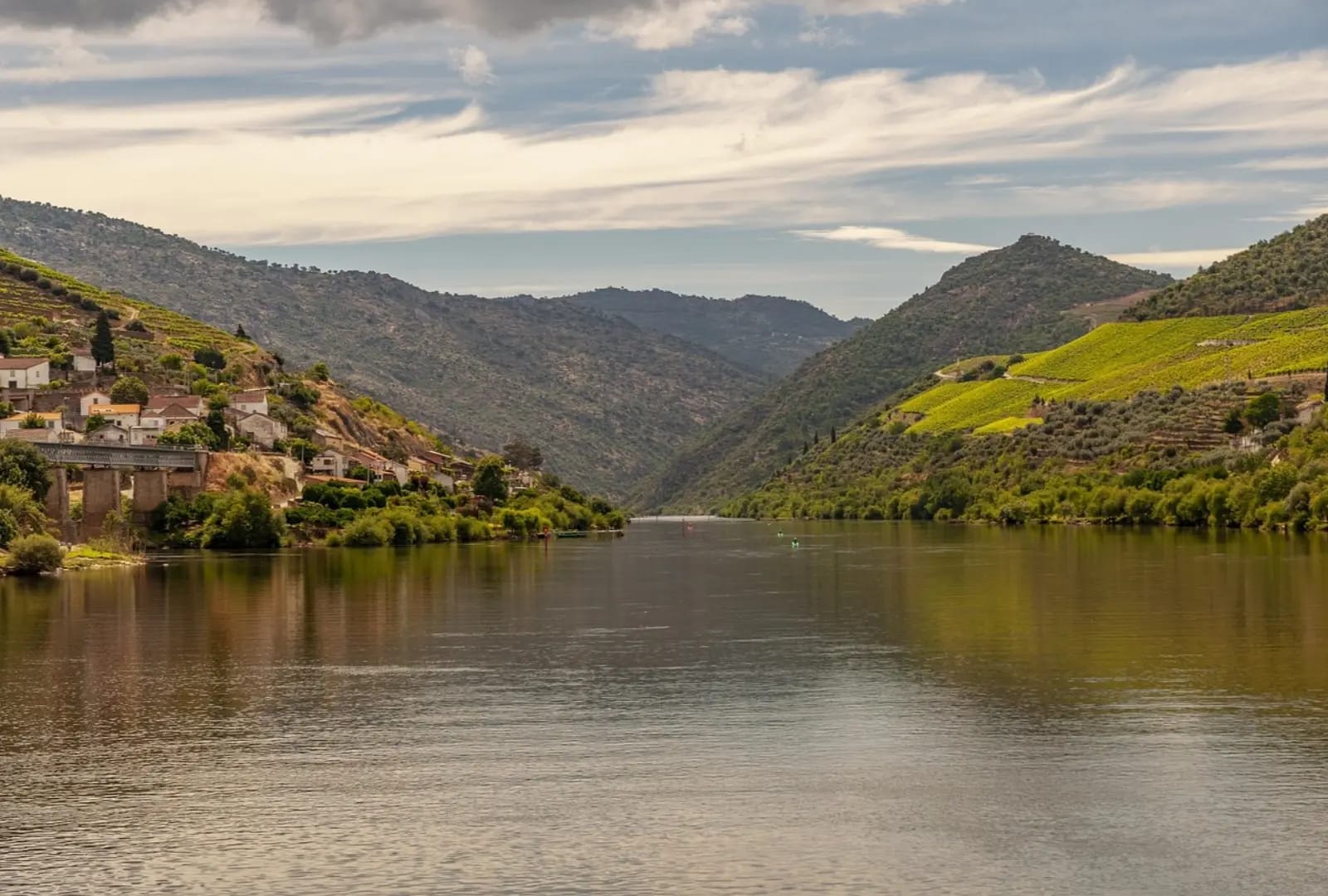 cultivated hillside and natural hillside facing a river, Vale do Douro