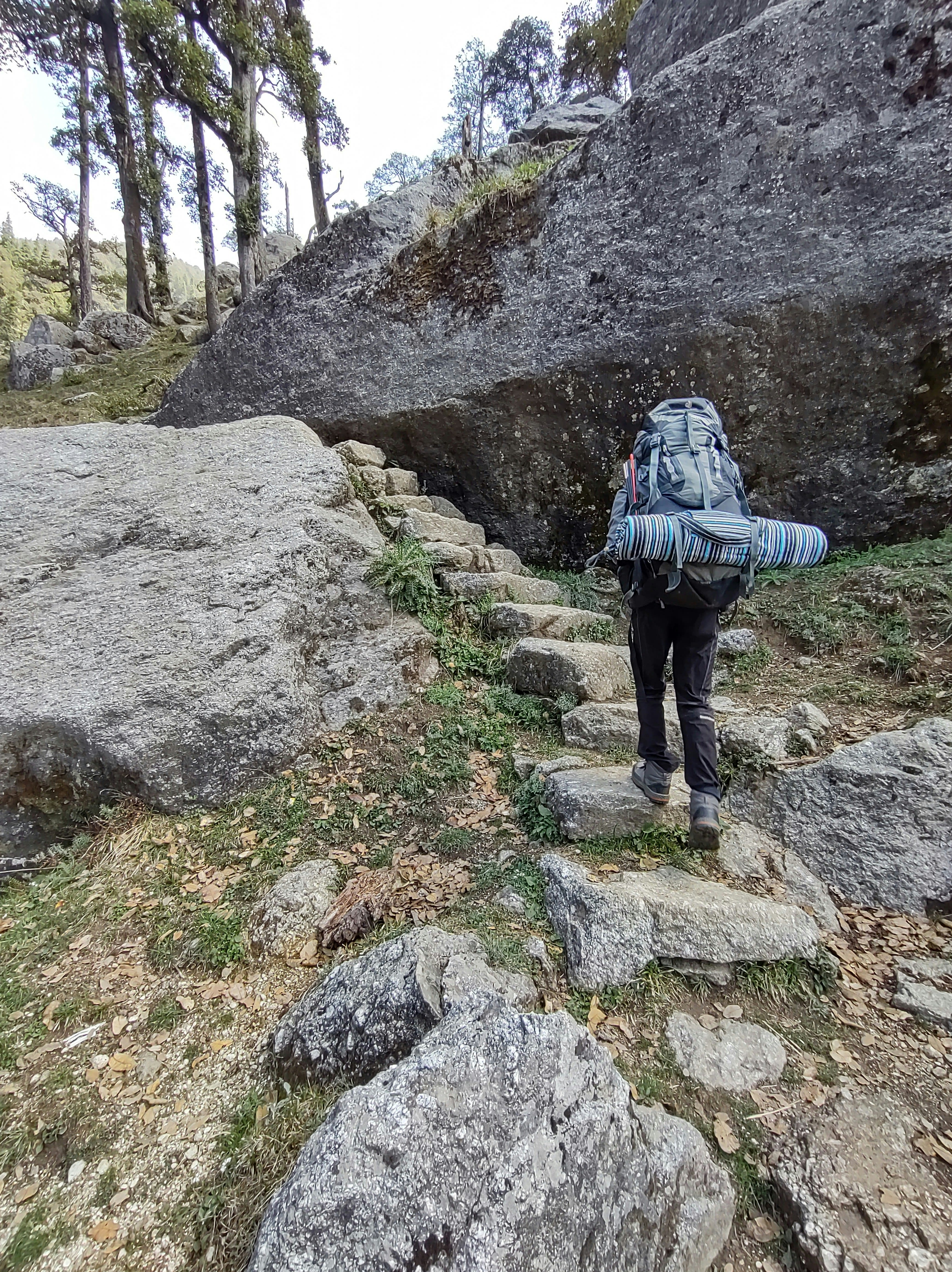 Interior view of a cave in Camuy, featuring stunning limestone formations, including stalactites and stalagmites that create a mesmerizing underground environment.