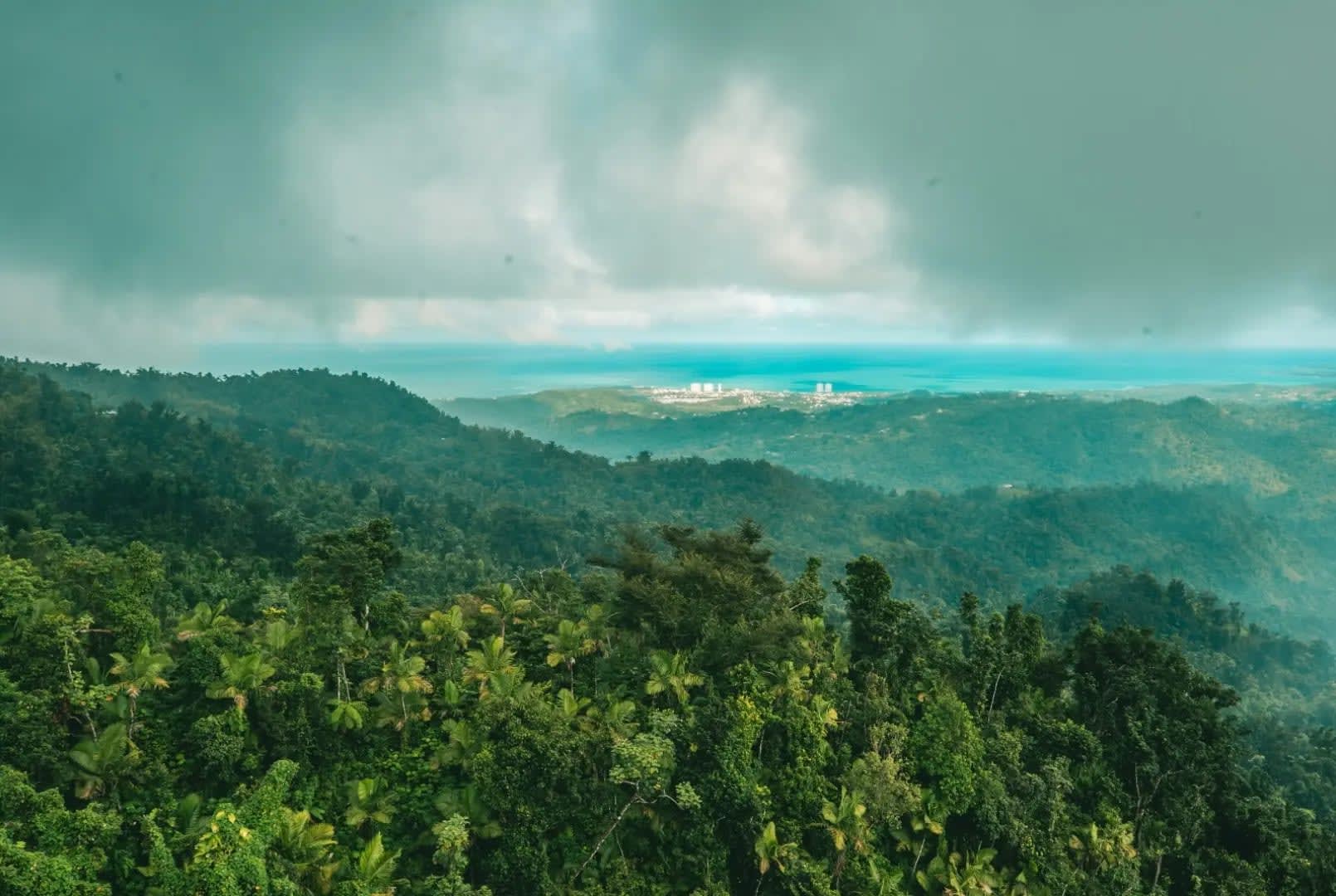 El Yunque, Aerial view of a forested area