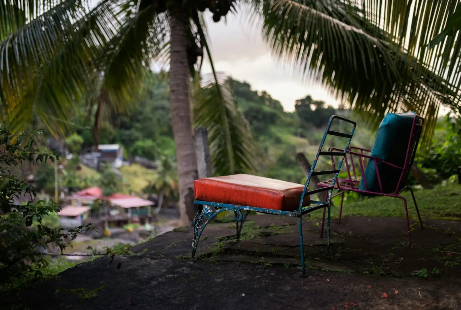 chairs facing a jungle ,Yunque