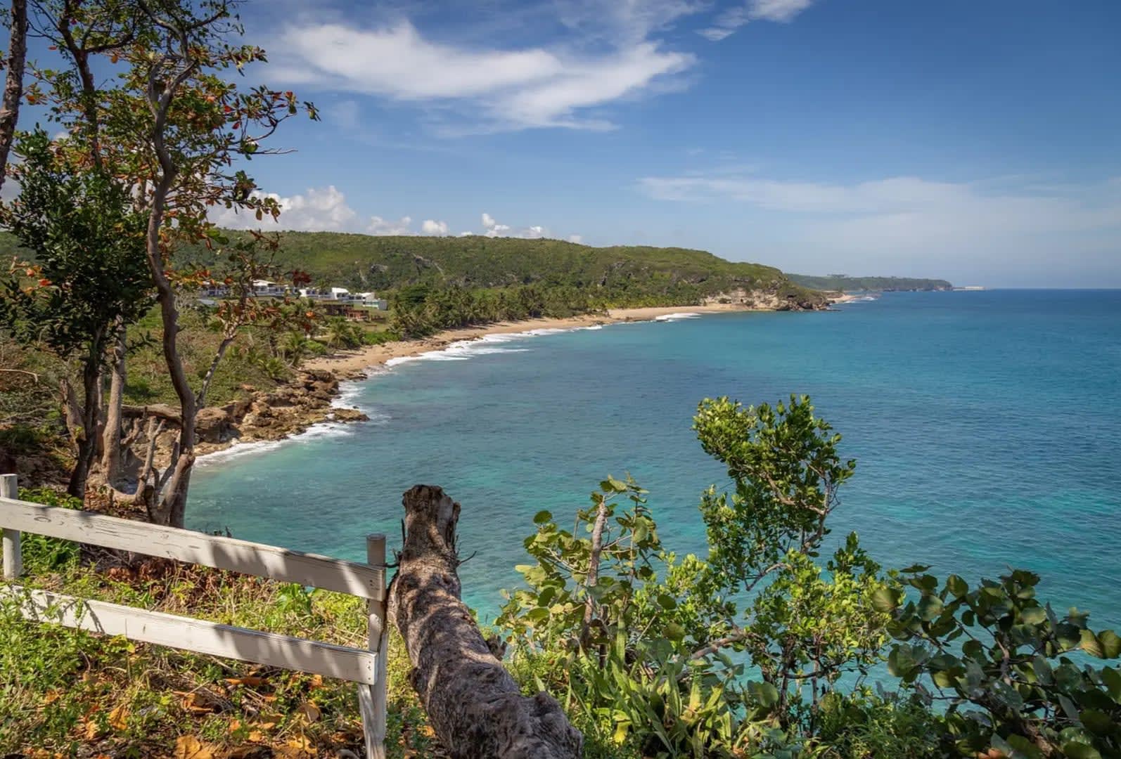 coastline with vegetation, beach Flamenco