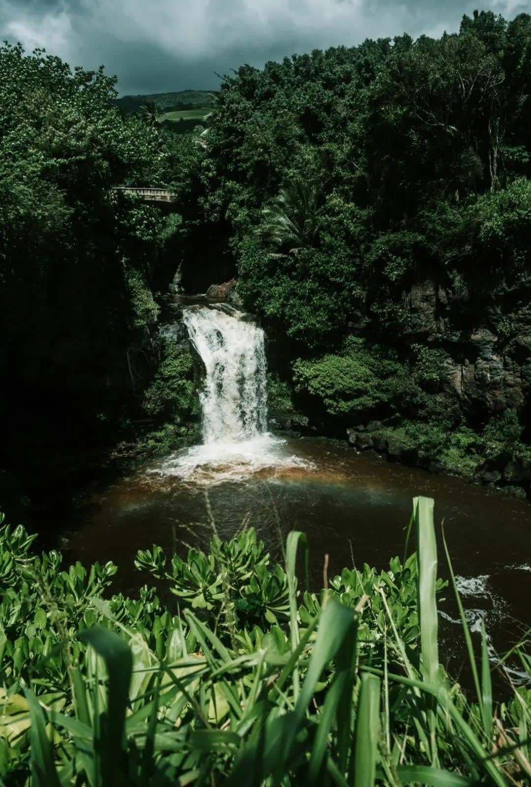 Waterfall over a lake surrounded by vegetation, Chutes Boyoma