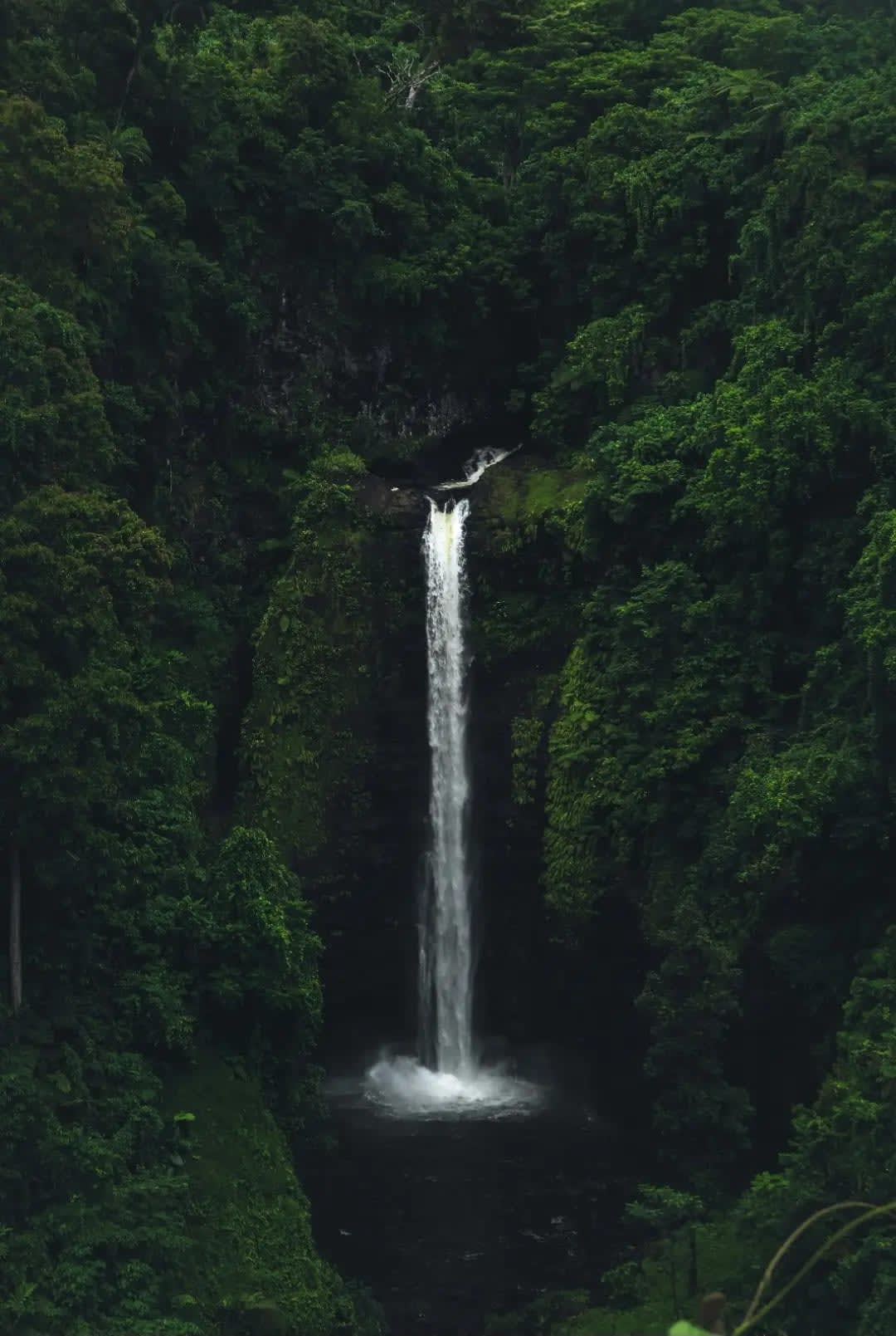 River with a waterfall surrounded by vegetation, Chutes Boyoma