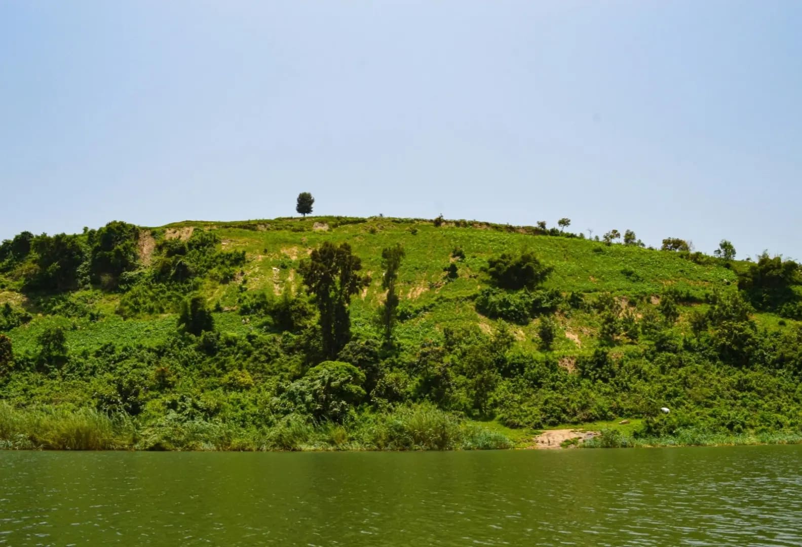 Lake in front of a hill with vegetation, Lake Kivu