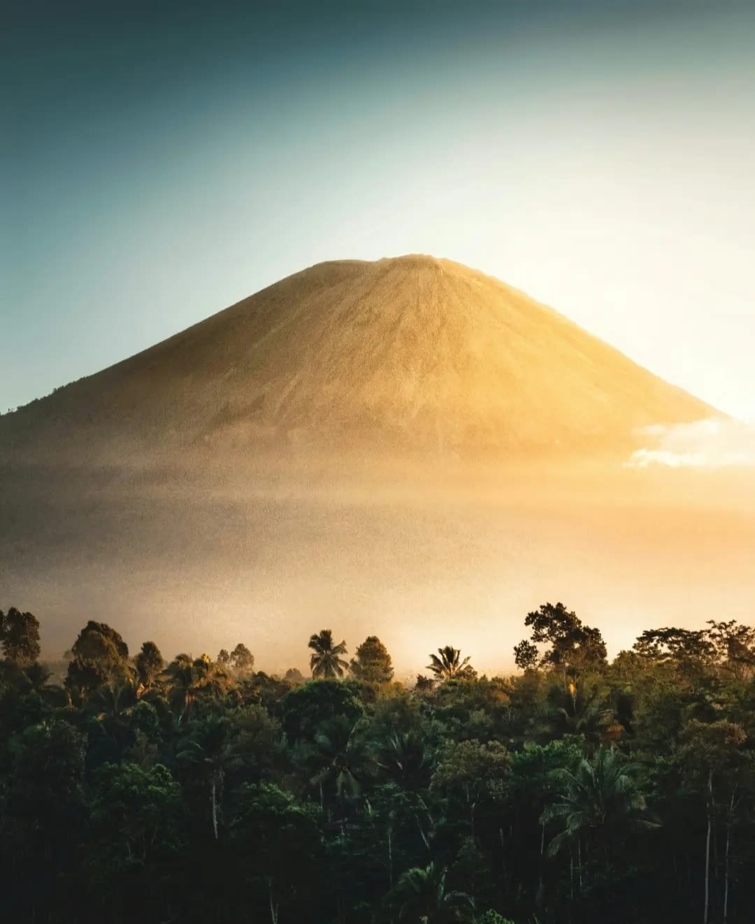 Forest at the base of a mountain at sunset, Virunga