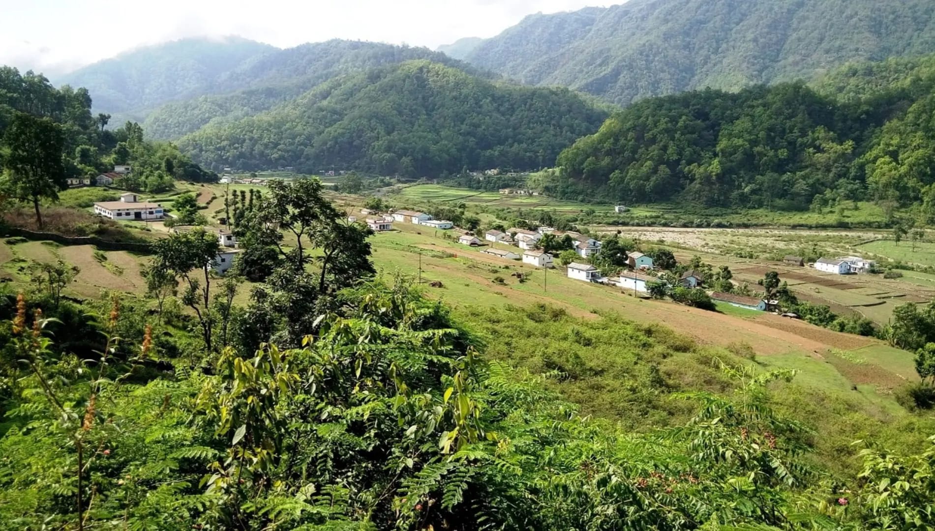 Cultivated hills with lush vegetation, Virunga