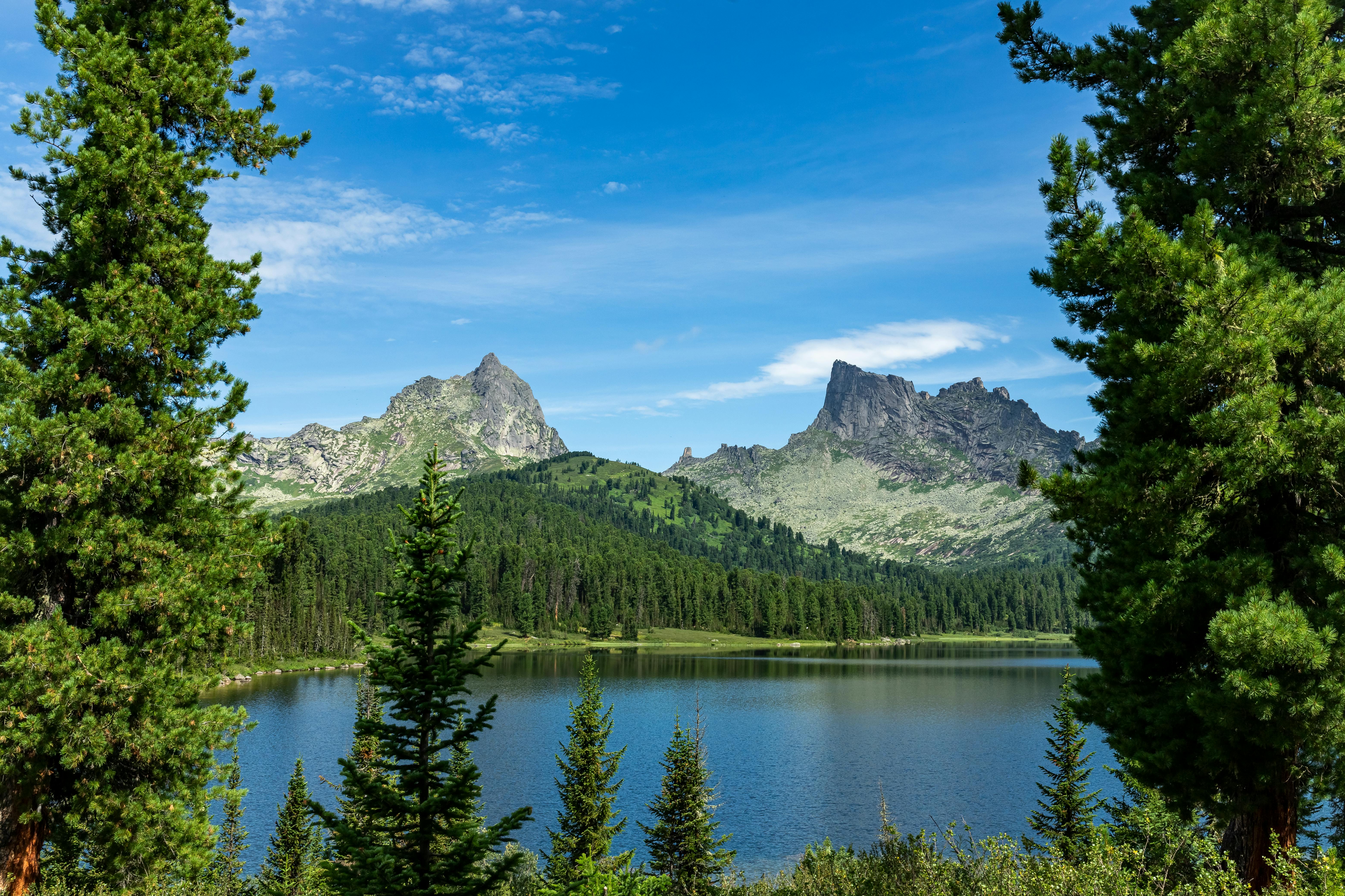 Wildflower meadow and jagged granite ridges in Ergaki Nature Reserve, Russia