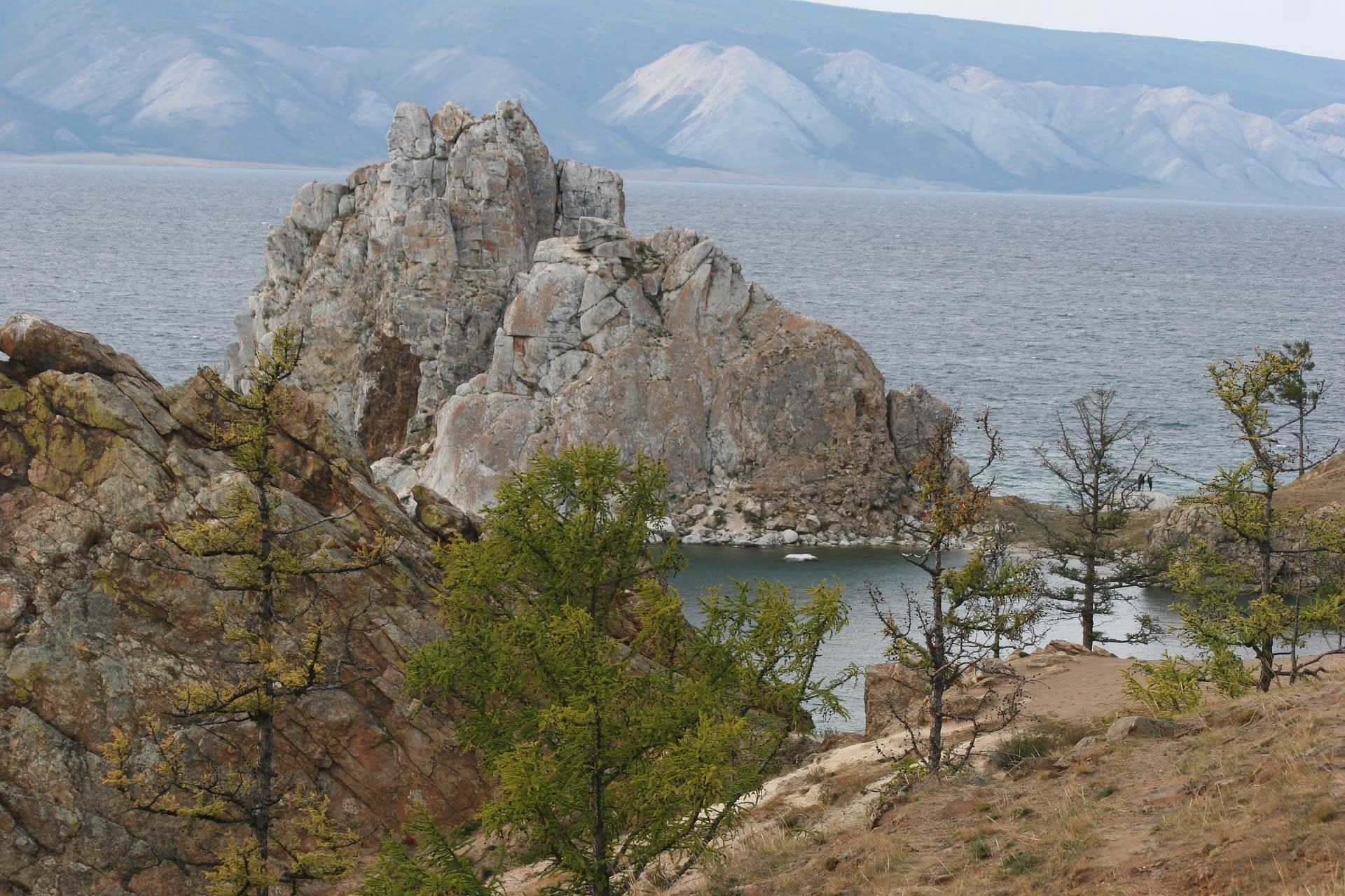 Wild orchid blooming on the shores of Lake Baikal, Siberia, Russia