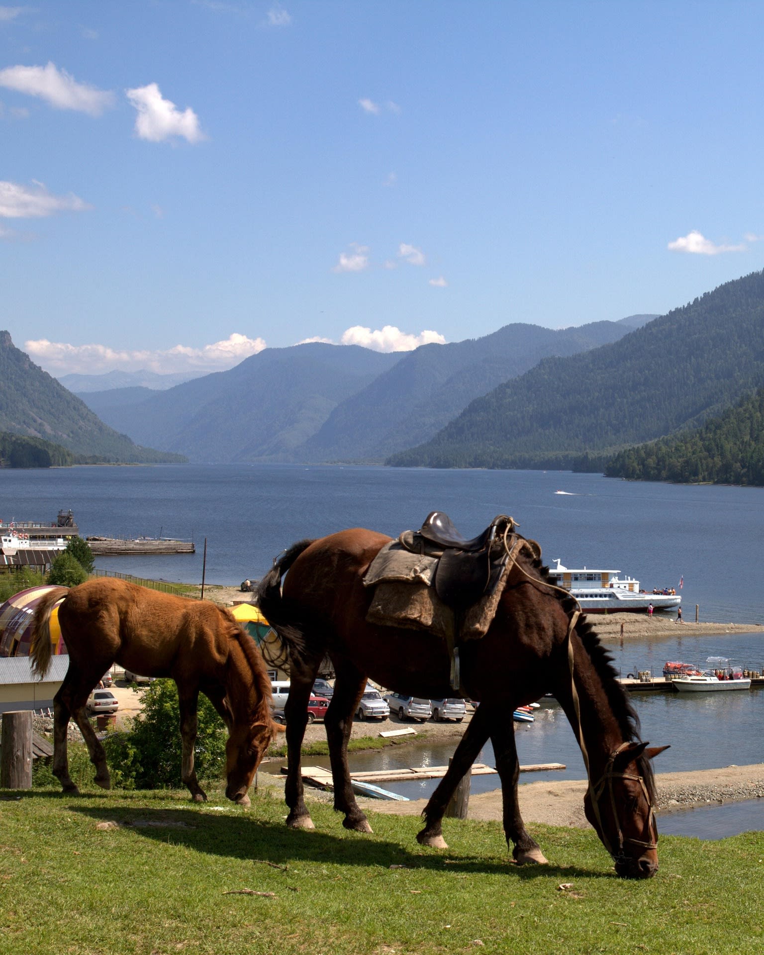 Serene blue waters of Lake Teletskoye framed by forested mountain slopes in Altai, Russia