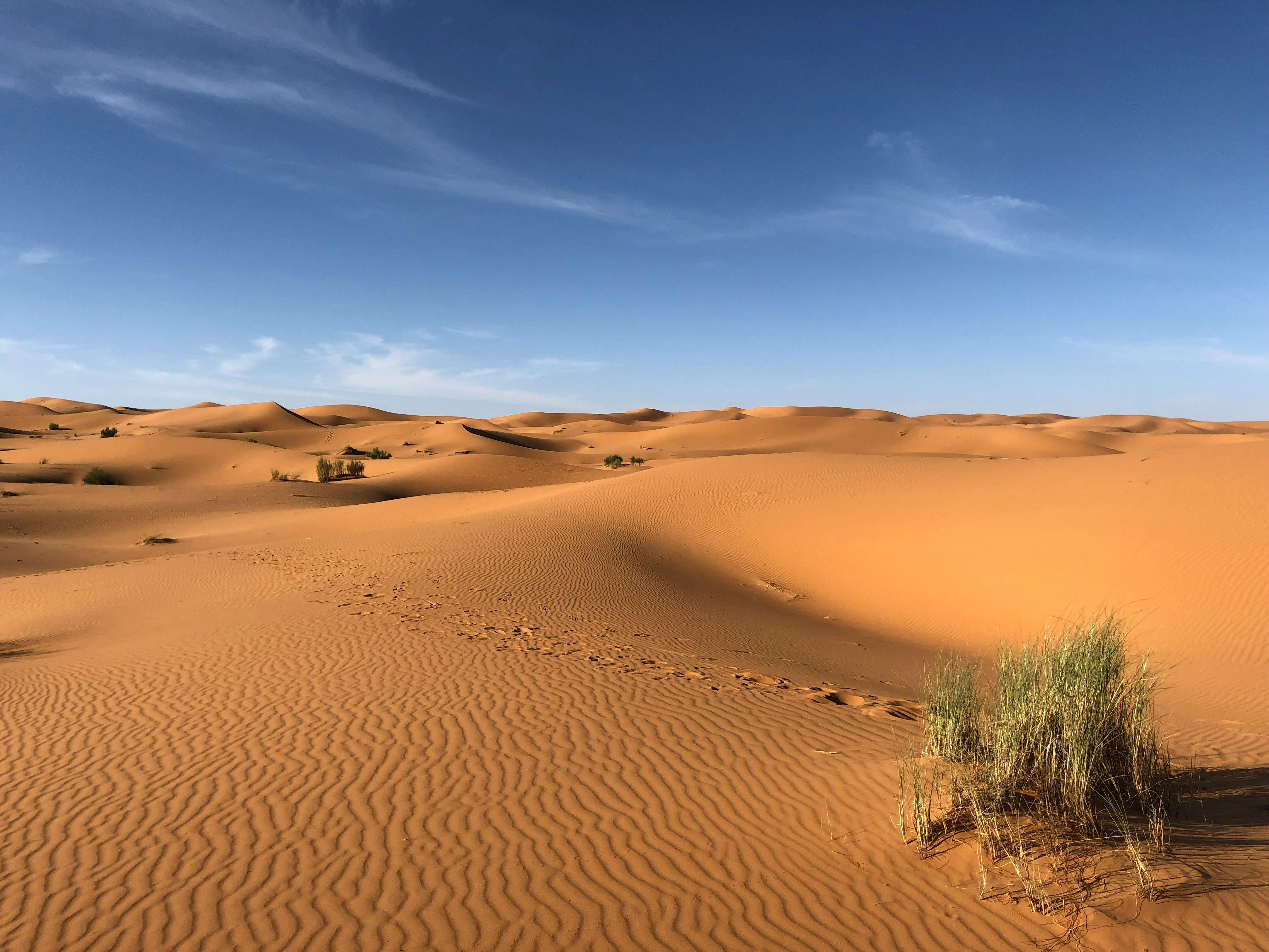 Rub' al Khali vast sand dunes view