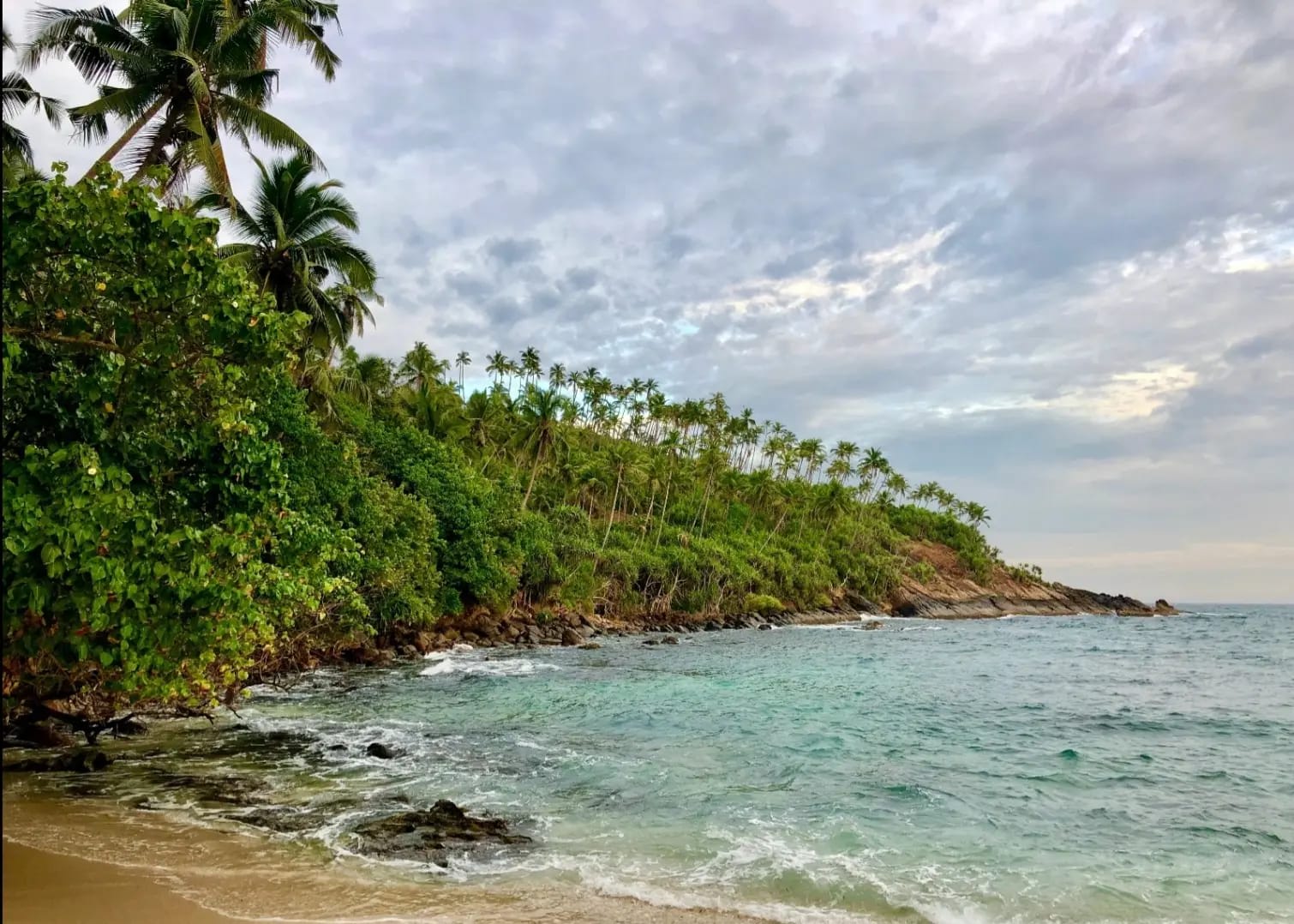 Coast with palm trees and rocks,Mirissa