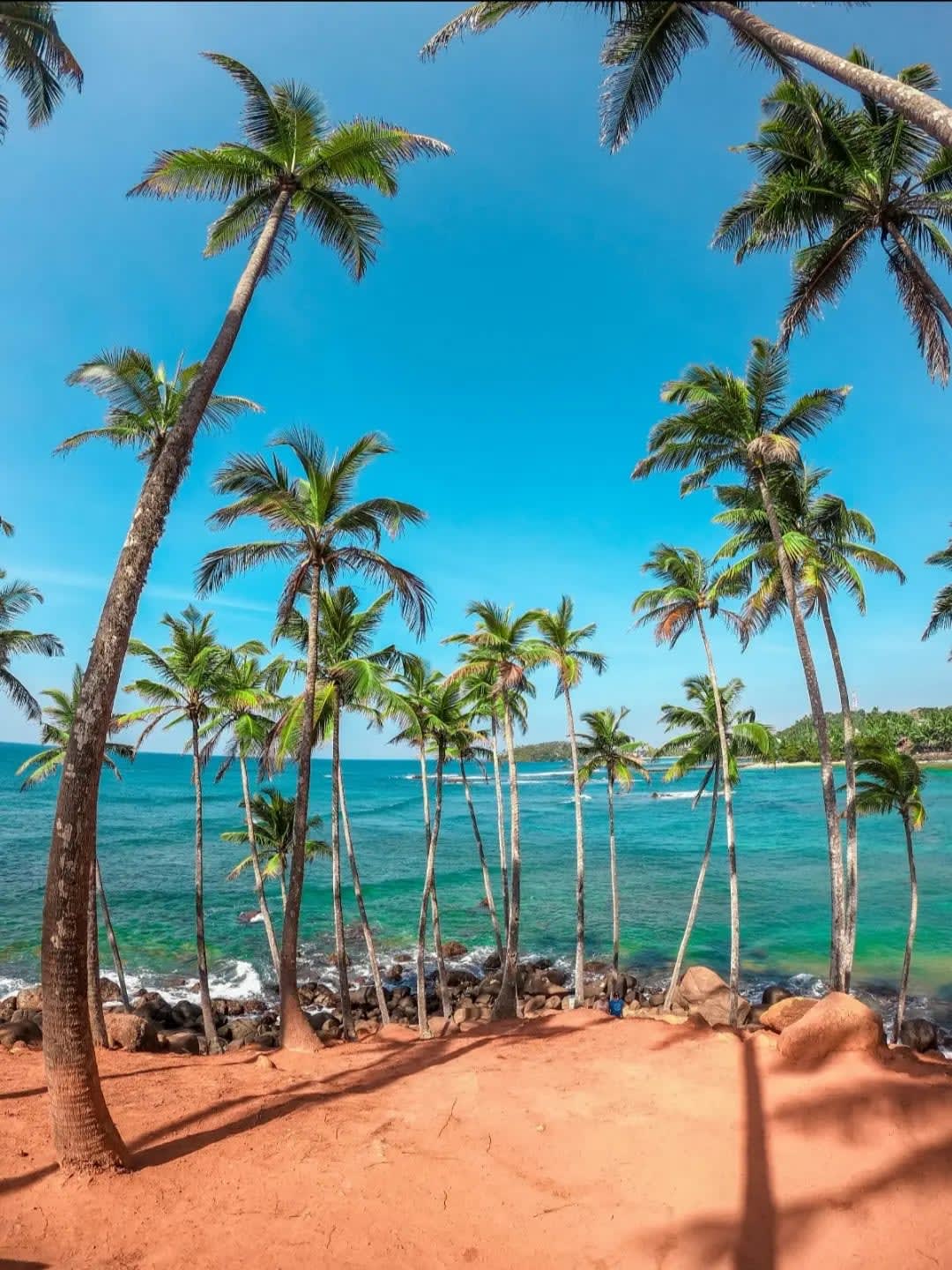 Coast with palm trees and rocks, Mirissa