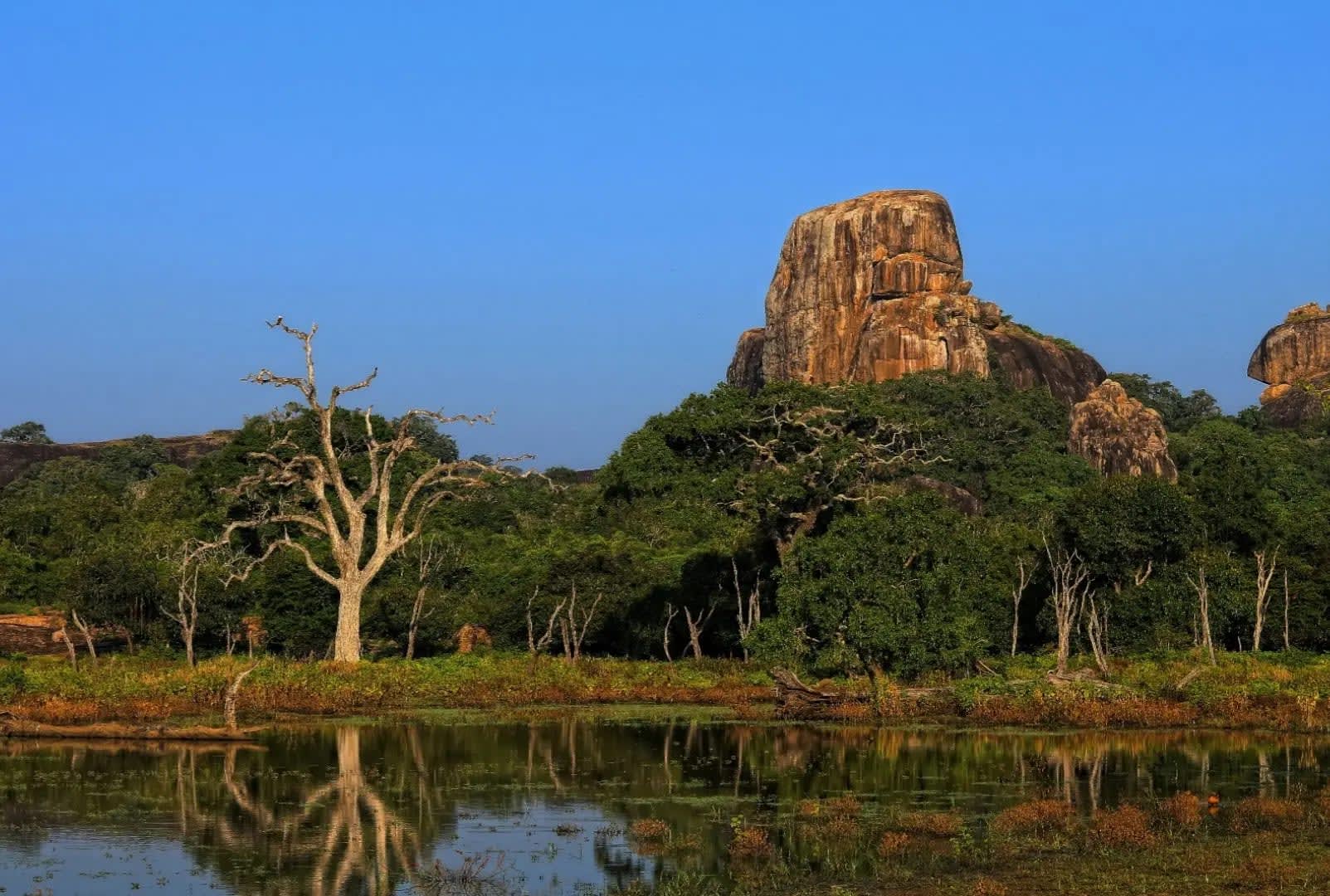 Lake with trees and a large rock in the background, Yala National Park
