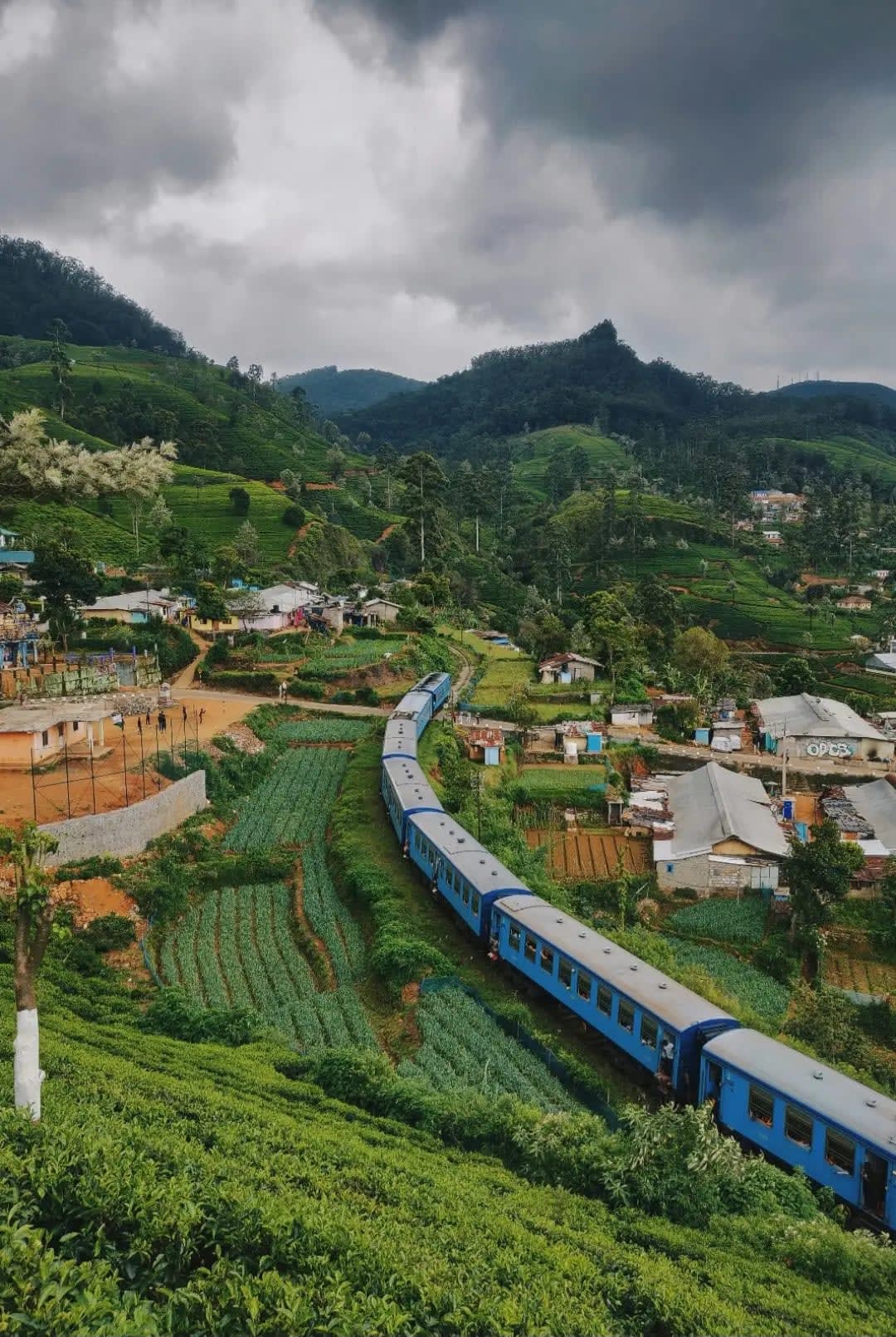 Blue train passing through cultivated meadows and small village houses, Ella Sri Lanaka, sriLanka Ella