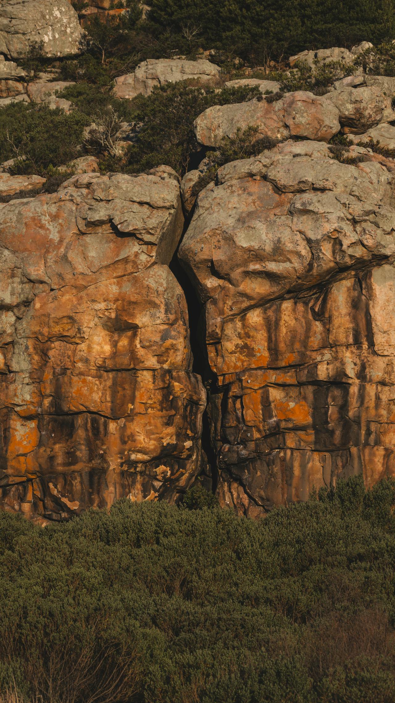 San Bushman rock art paintings on a sandstone overhang in the Cederberg with ochre human figures